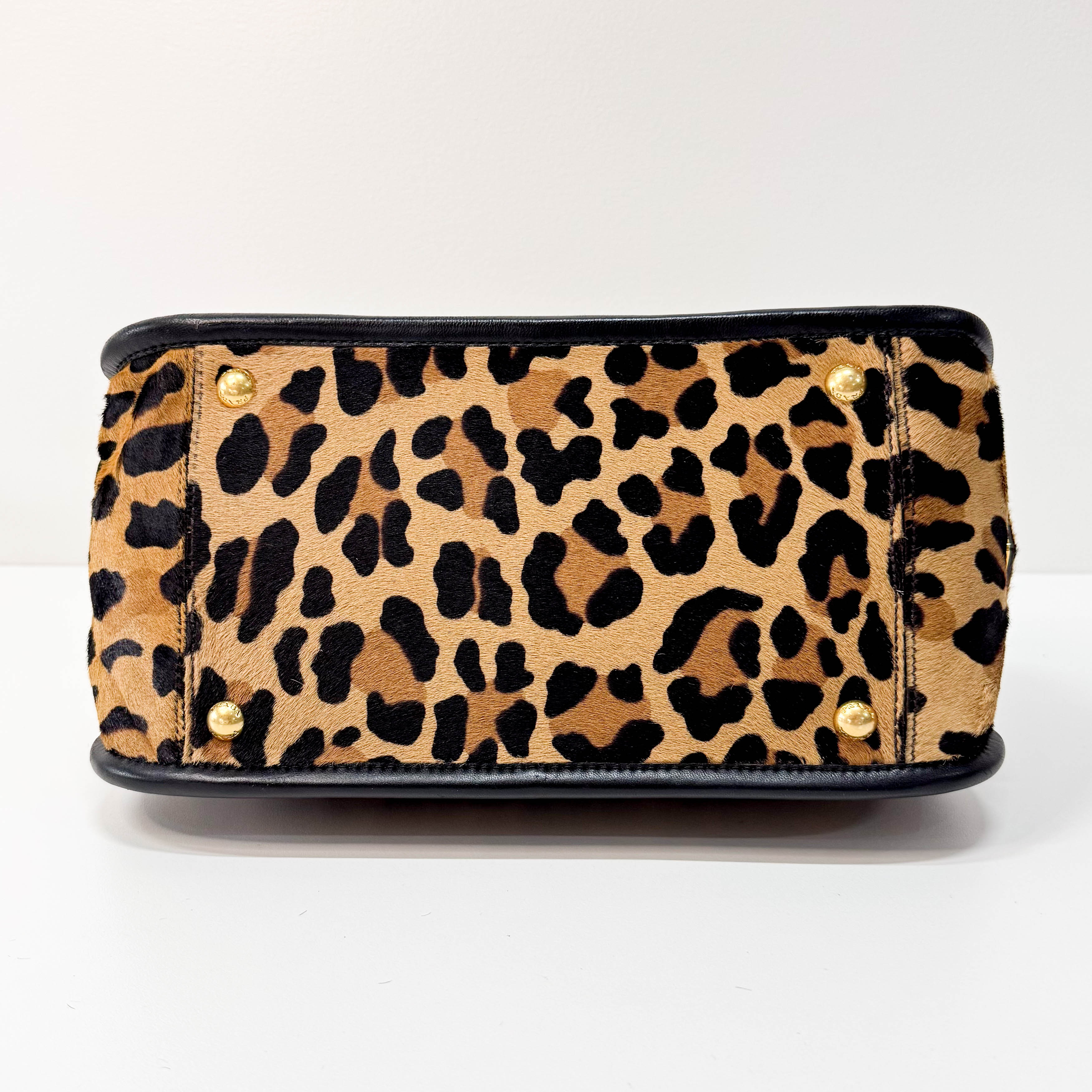 Leopard Print Bag