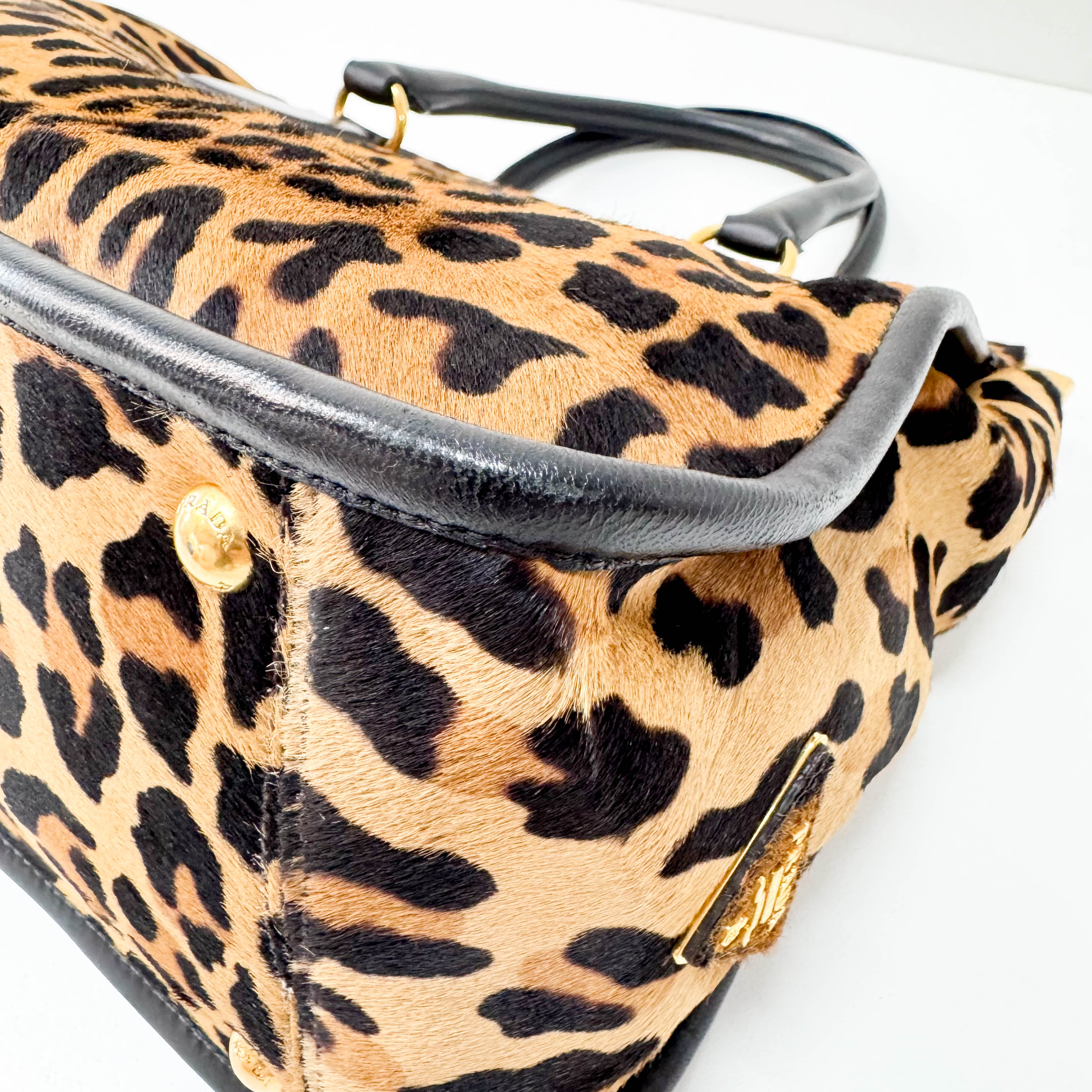Leopard Print Bag