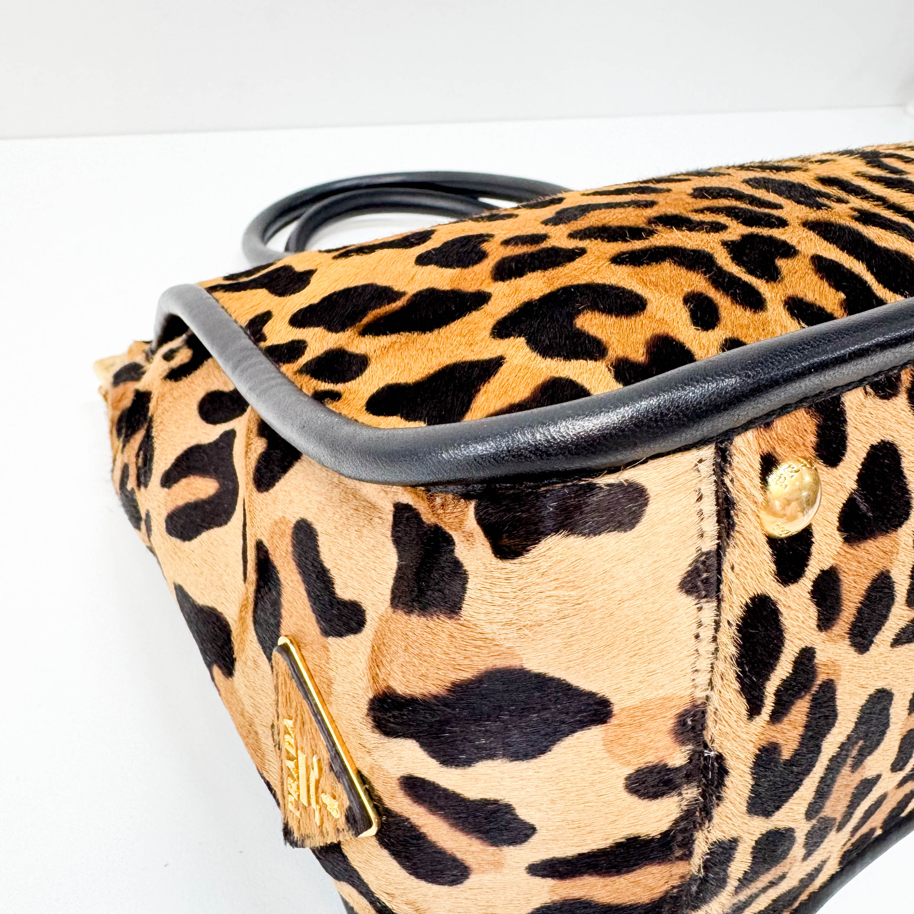 Leopard Print Bag