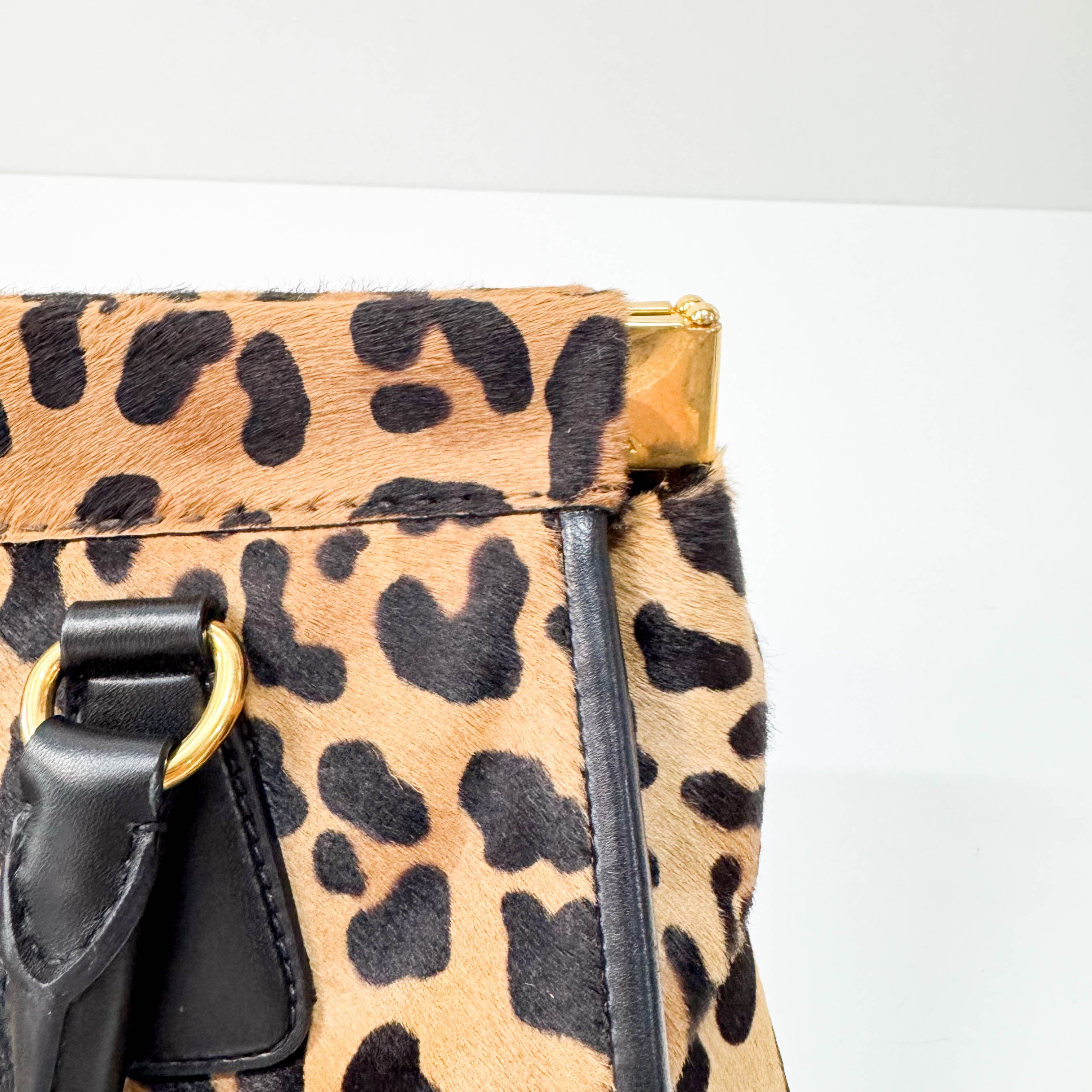 Leopard Print Bag