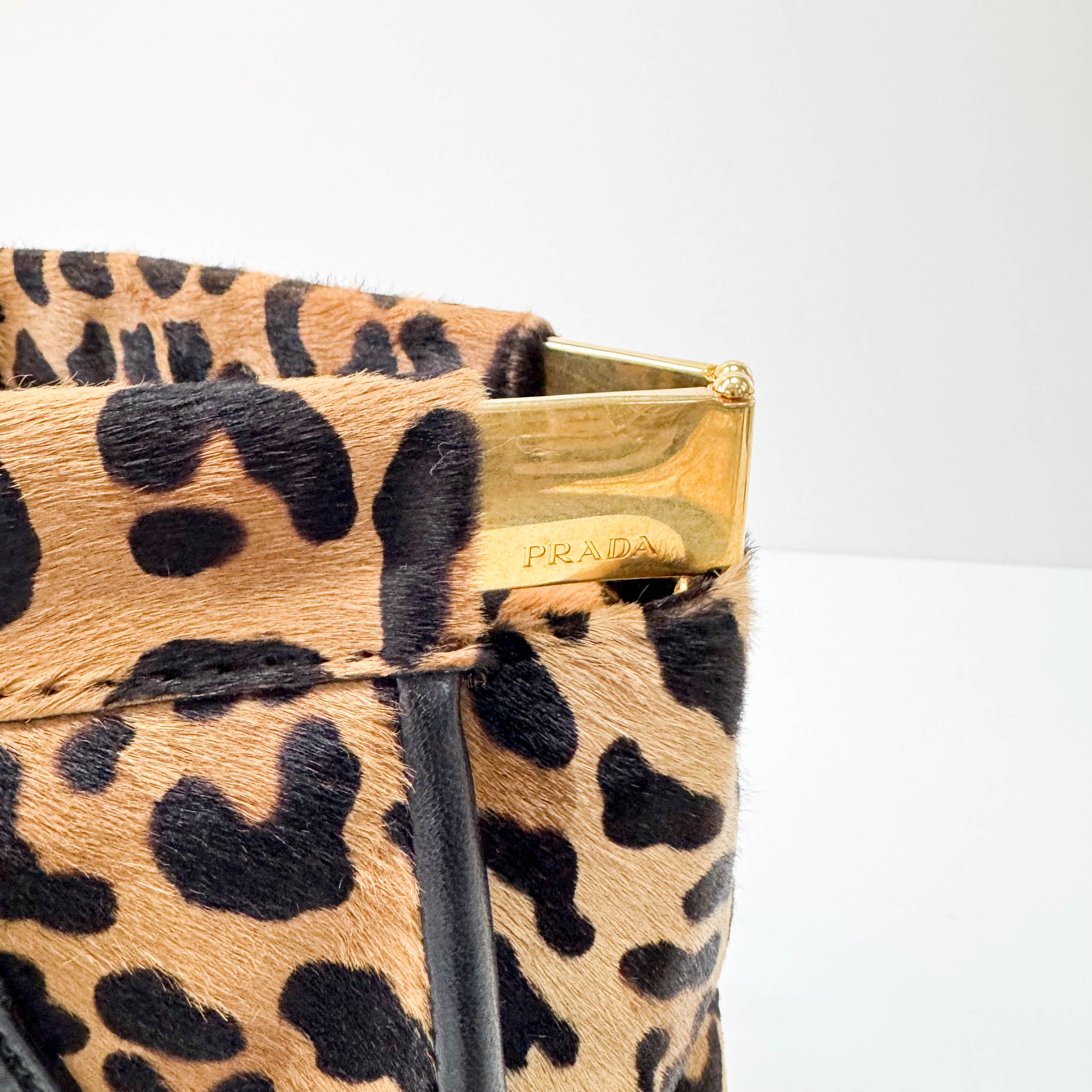 Leopard Print Bag