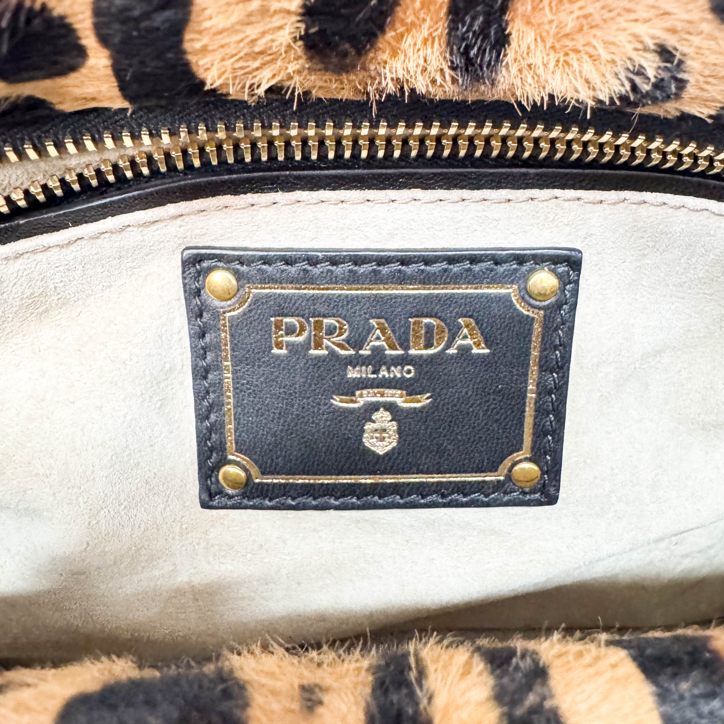 Leopard Print Bag