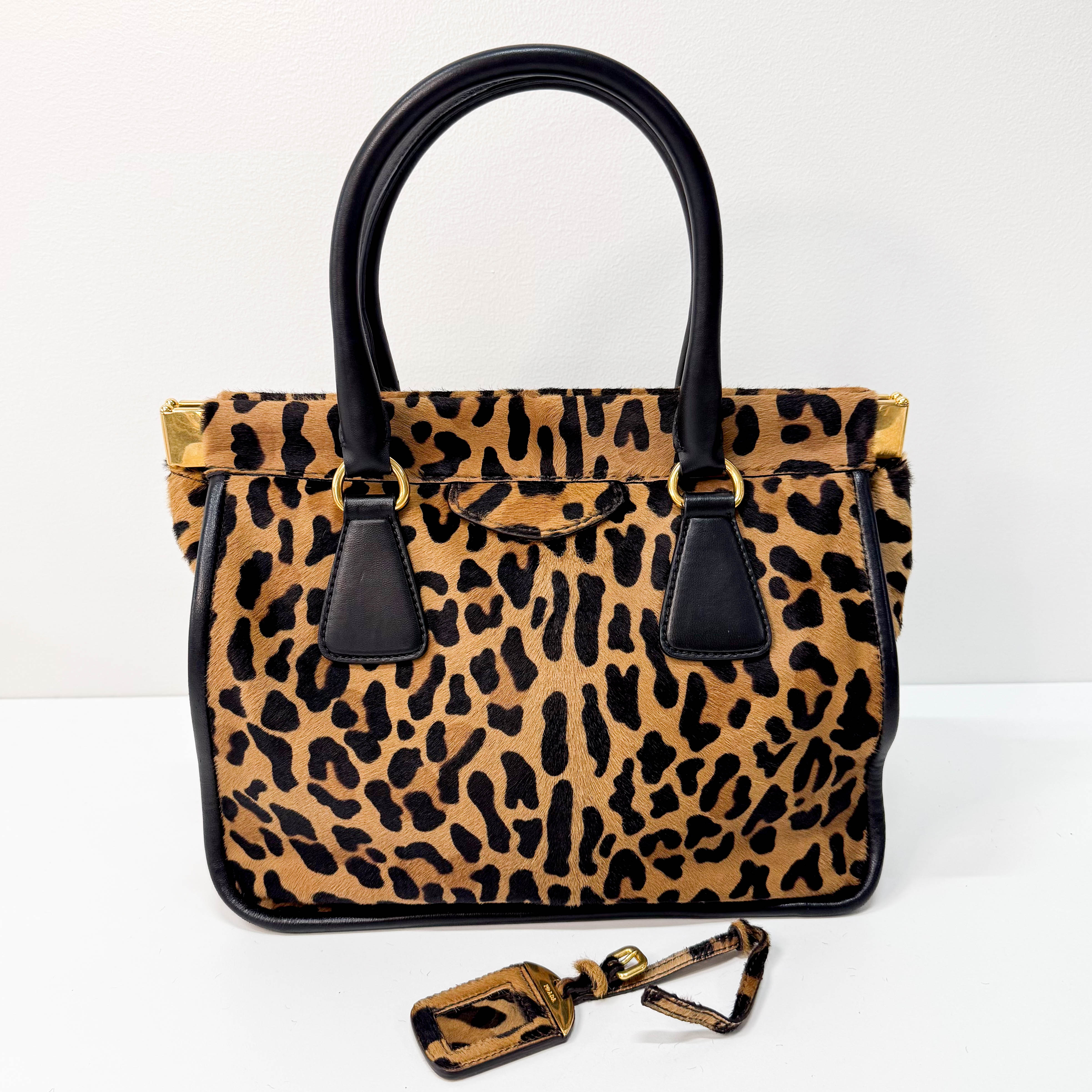 Leopard Print Bag