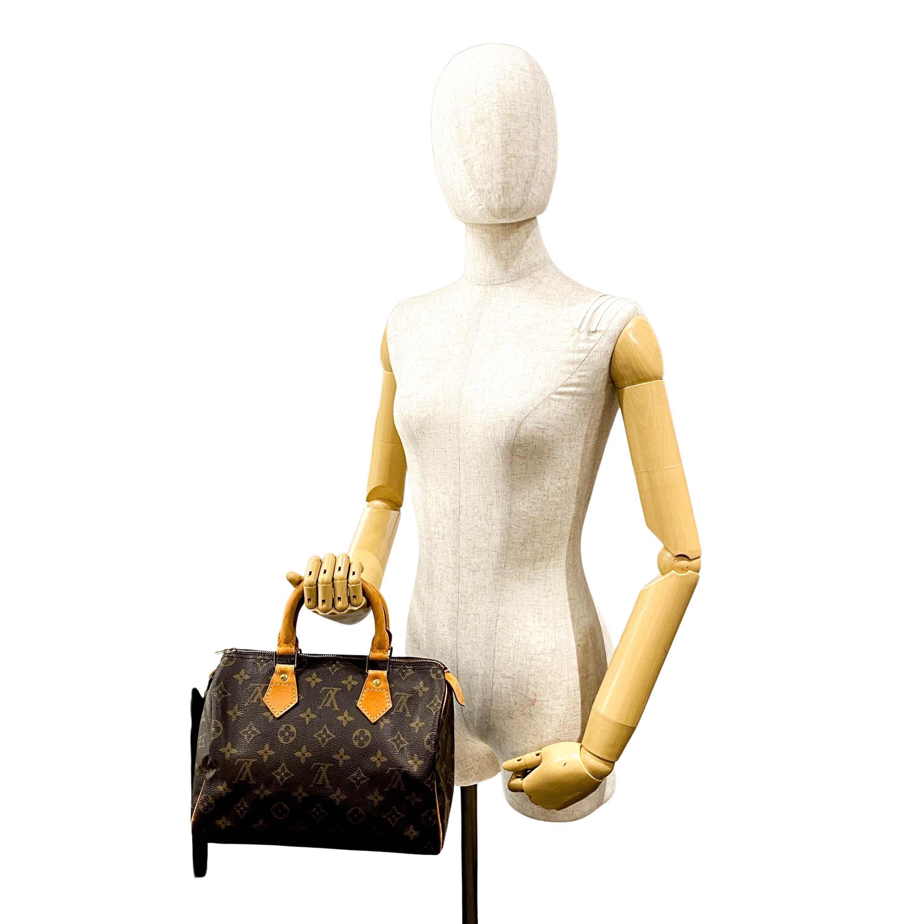 Speedy Monogram 25 Brown Coated Canvas Bag