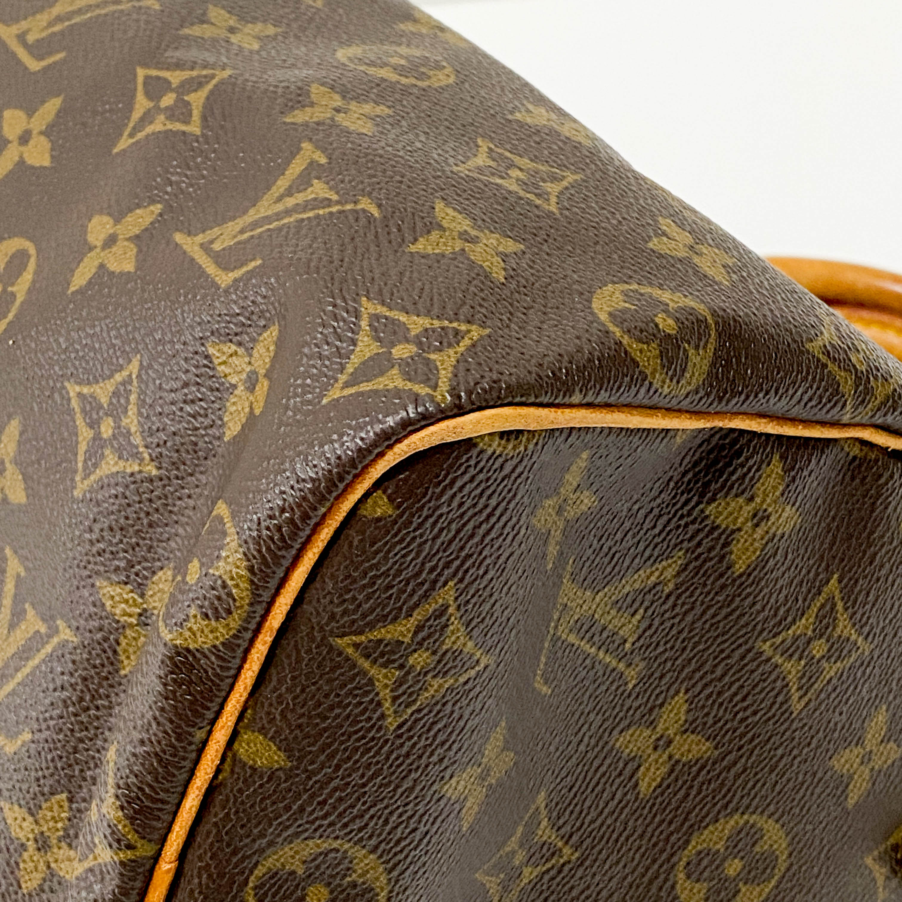 Speedy Monogram 25 Brown Coated Canvas Bag