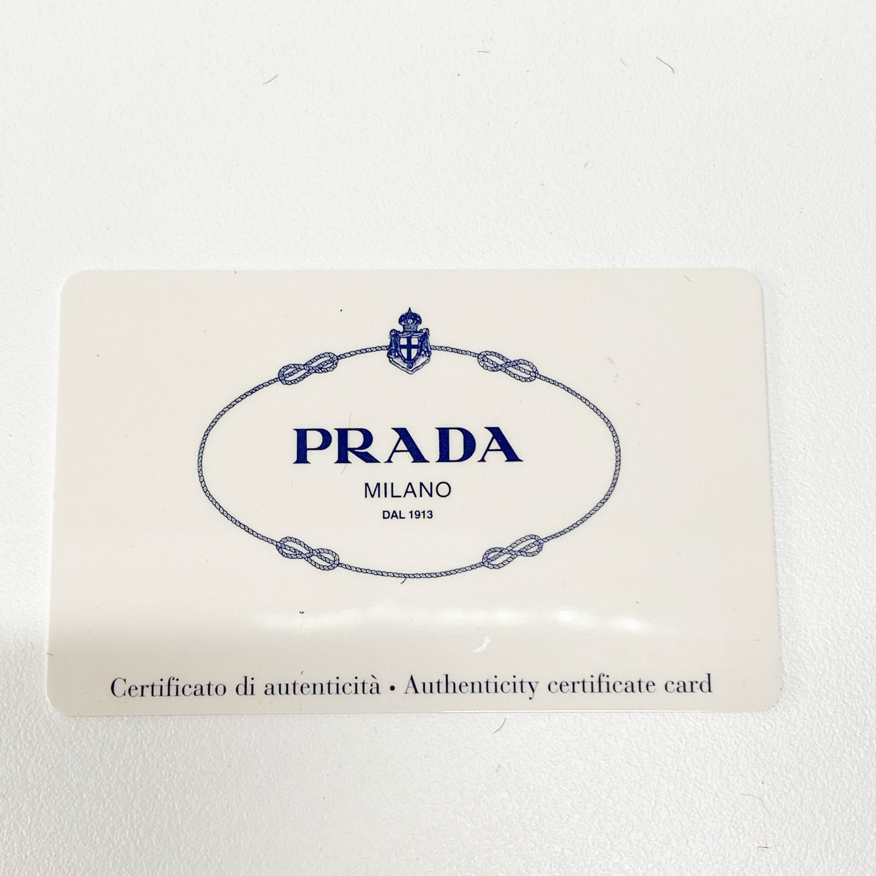 Lepord Print Pony Hair Handle Bag