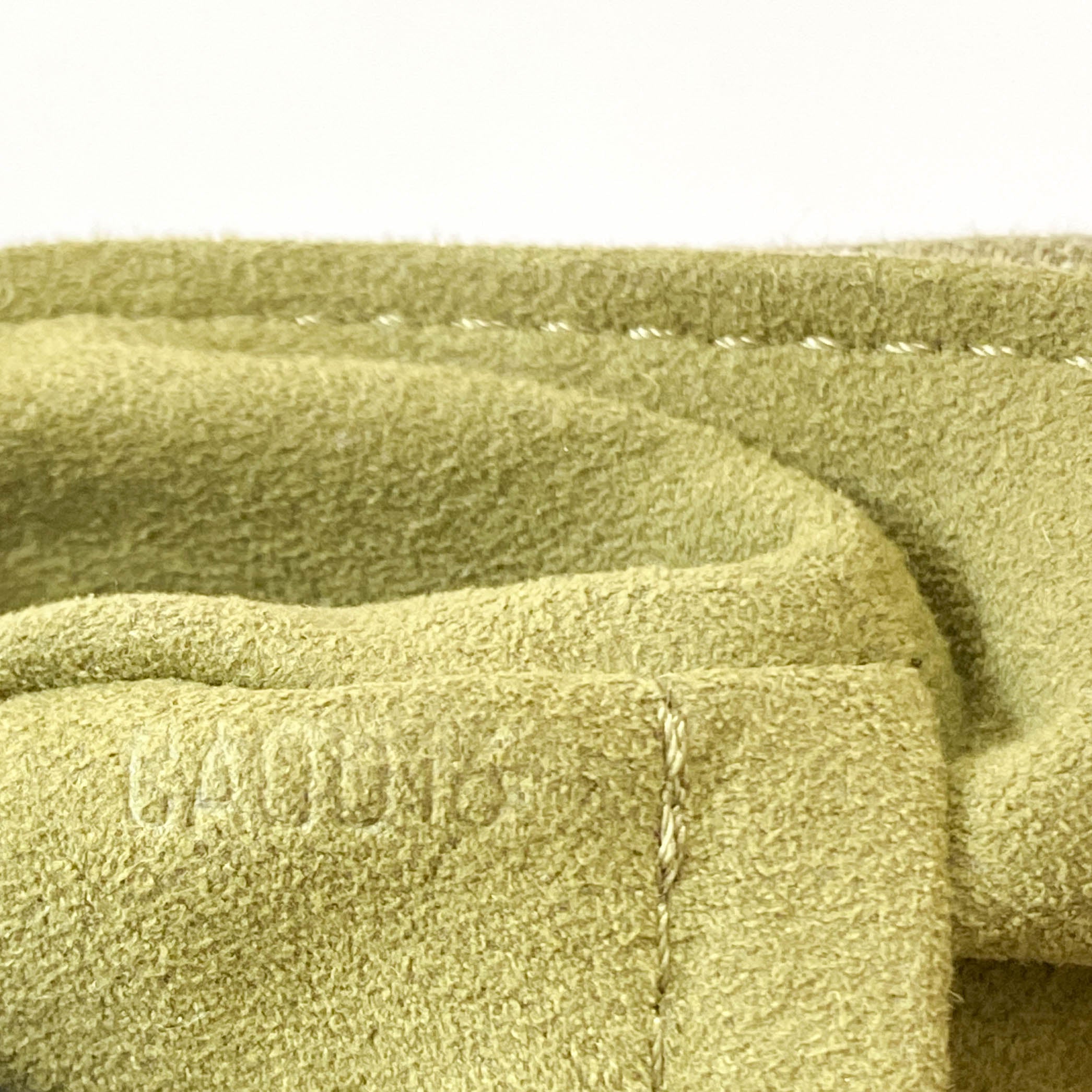 Pleaty Mini Green Monogram Denim Shoulder Bag