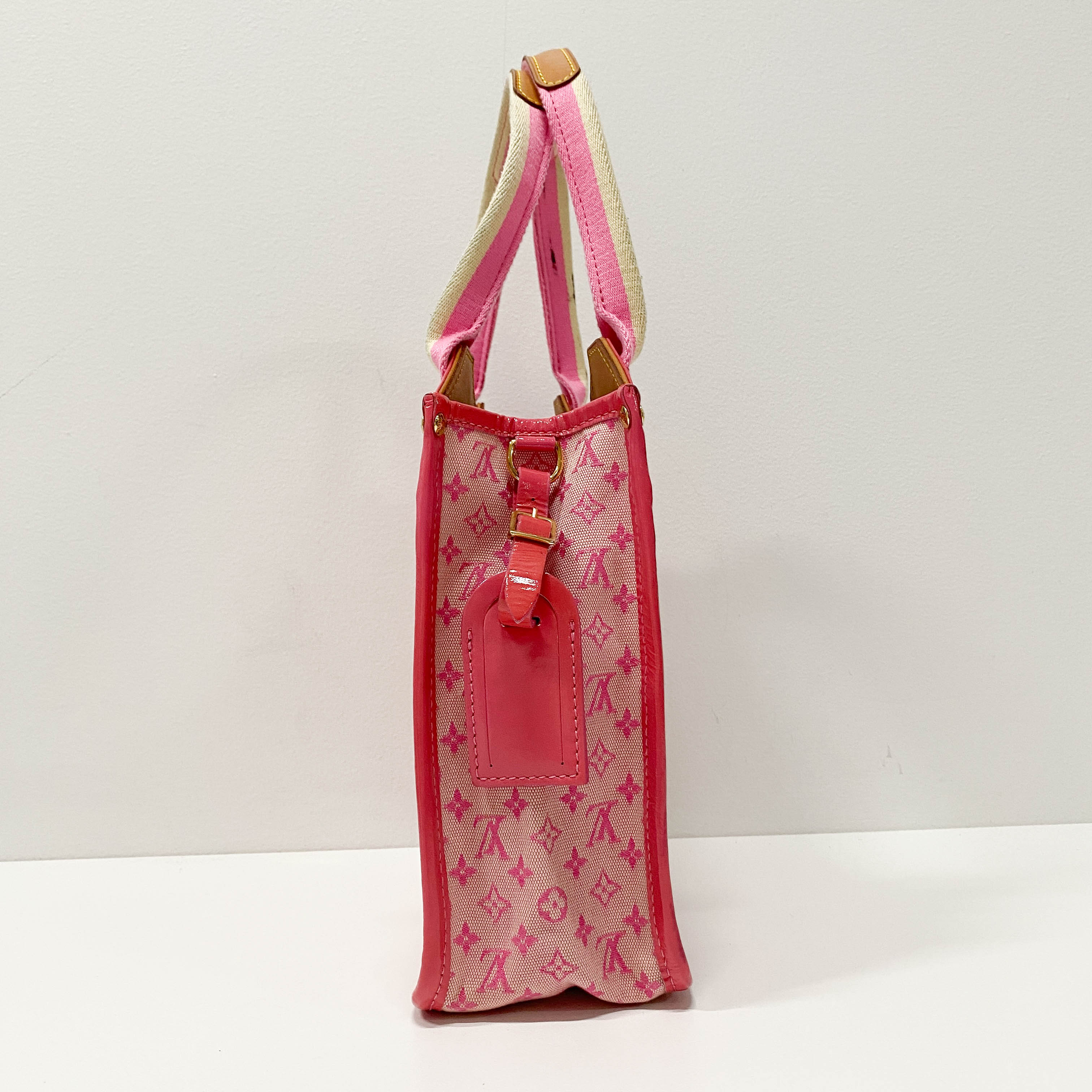 Mini Monogram Pink Canvas Shoulder Bag