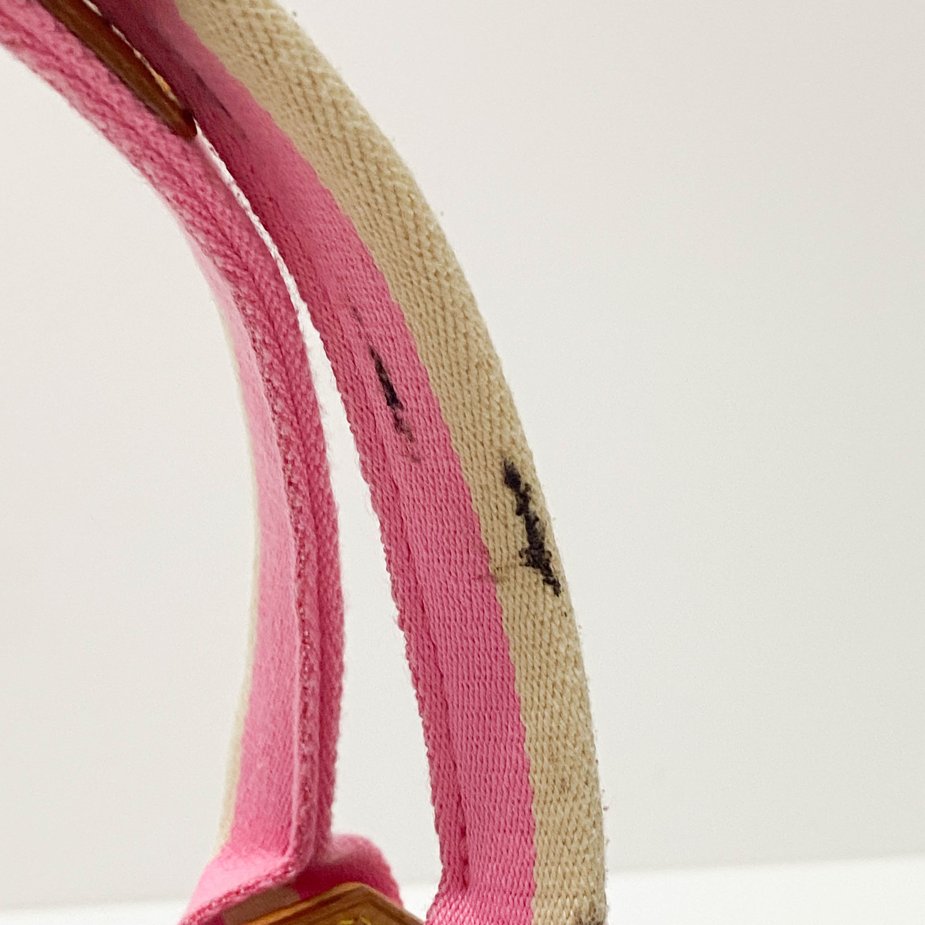 Mini Monogram Pink Canvas Shoulder Bag