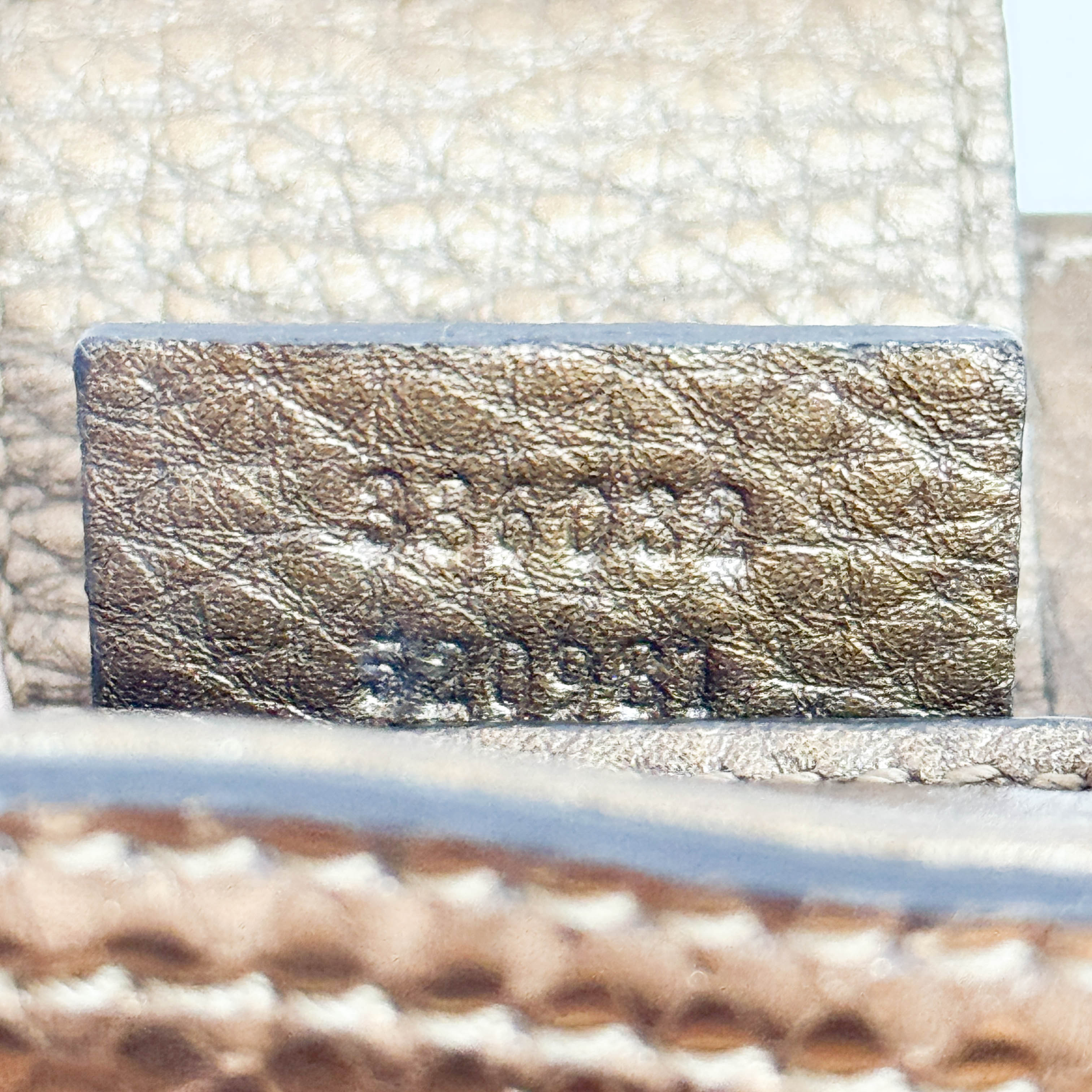 Bamboo Bronze Metallic Python Embossed Two Way Bag