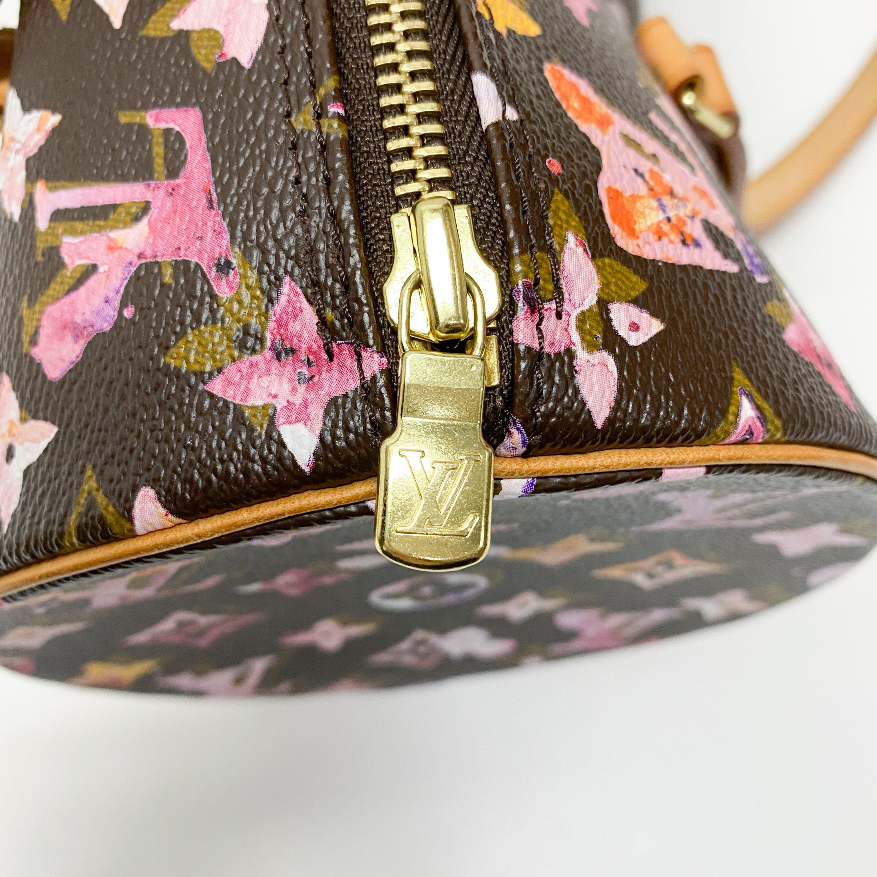 Papillon Watercolour Monogram Brown Canvas Shoulder Bag