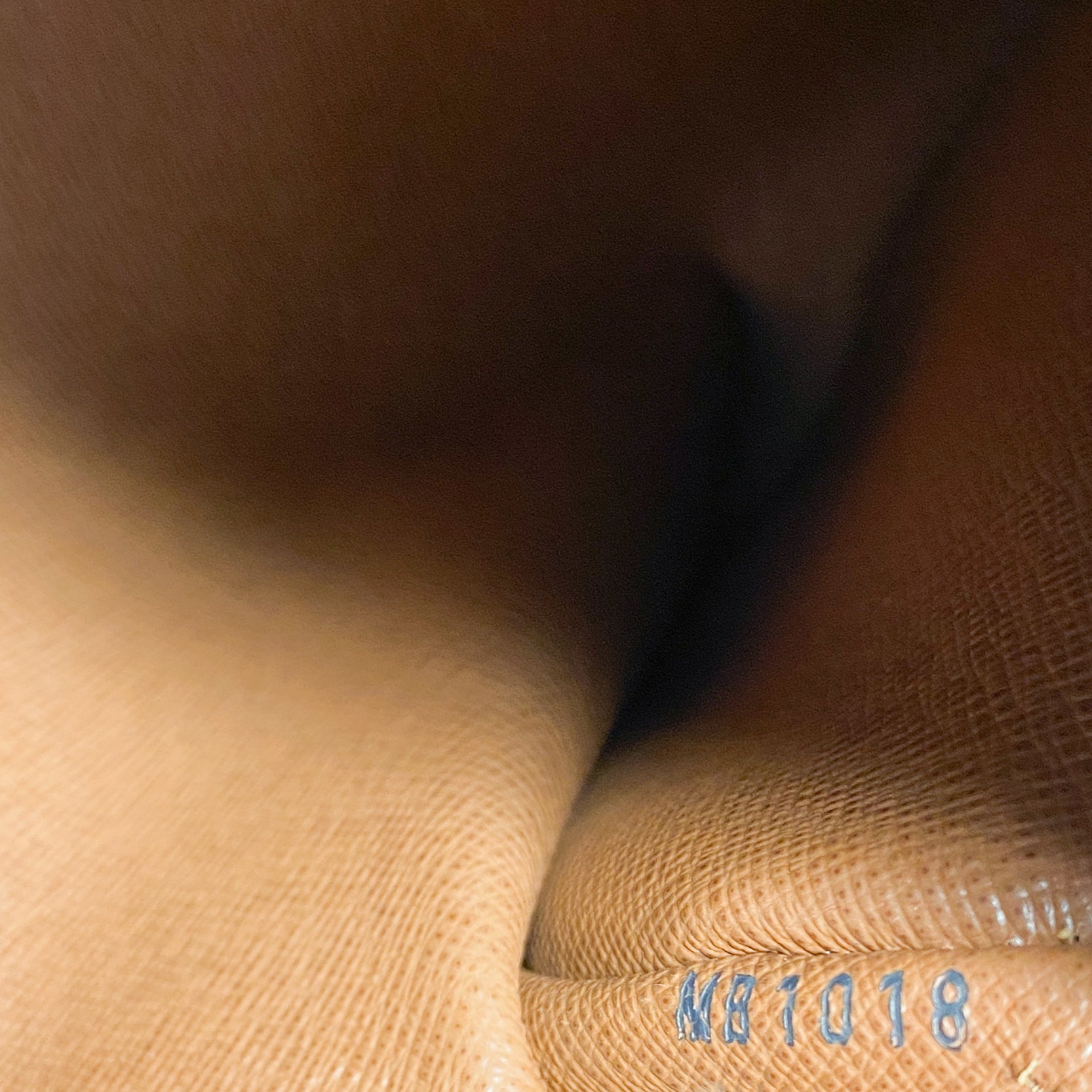 Papillon Watercolour Monogram Brown Canvas Shoulder Bag