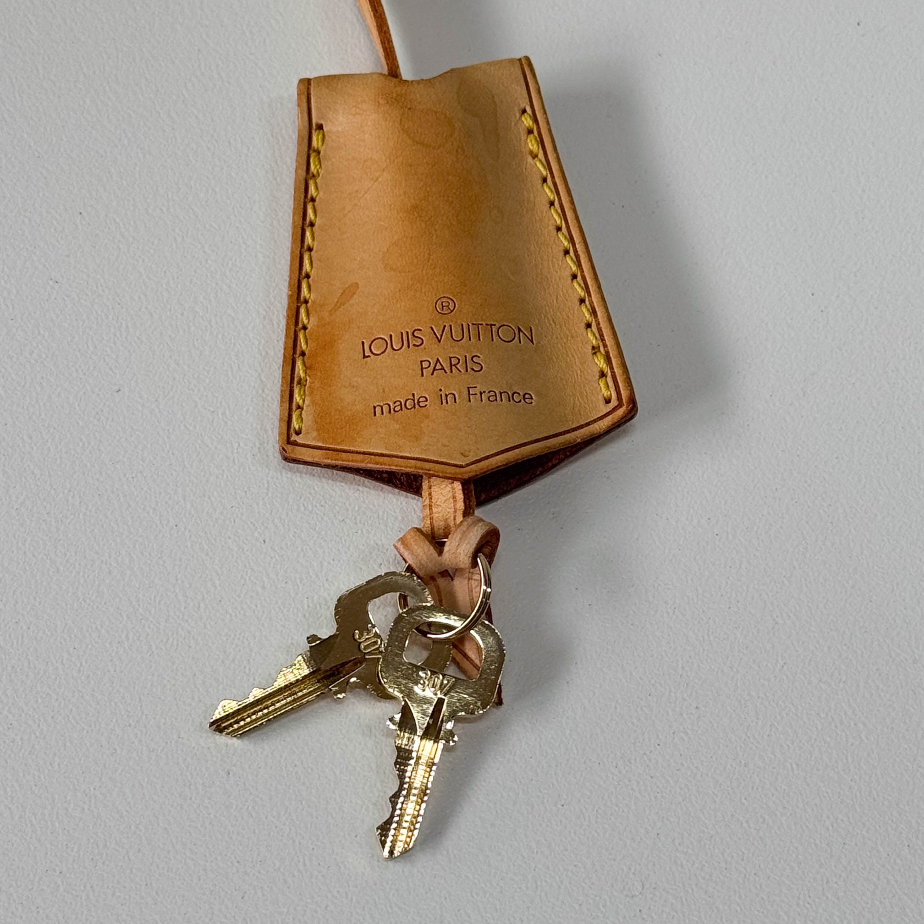 LV x TM Monogram Sakura Papillon Bag