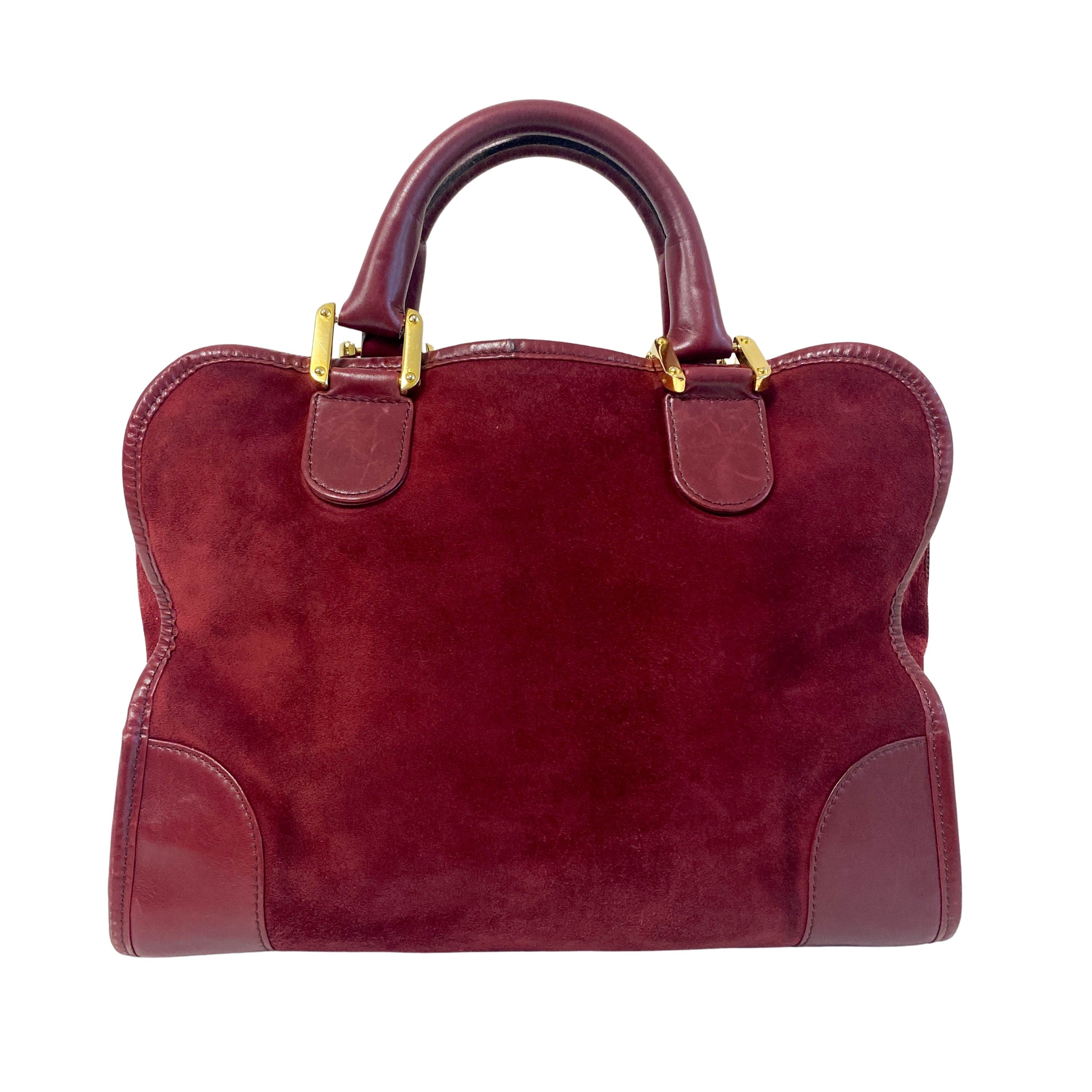 Amazona 32 Burgundy Suede Handle Bag