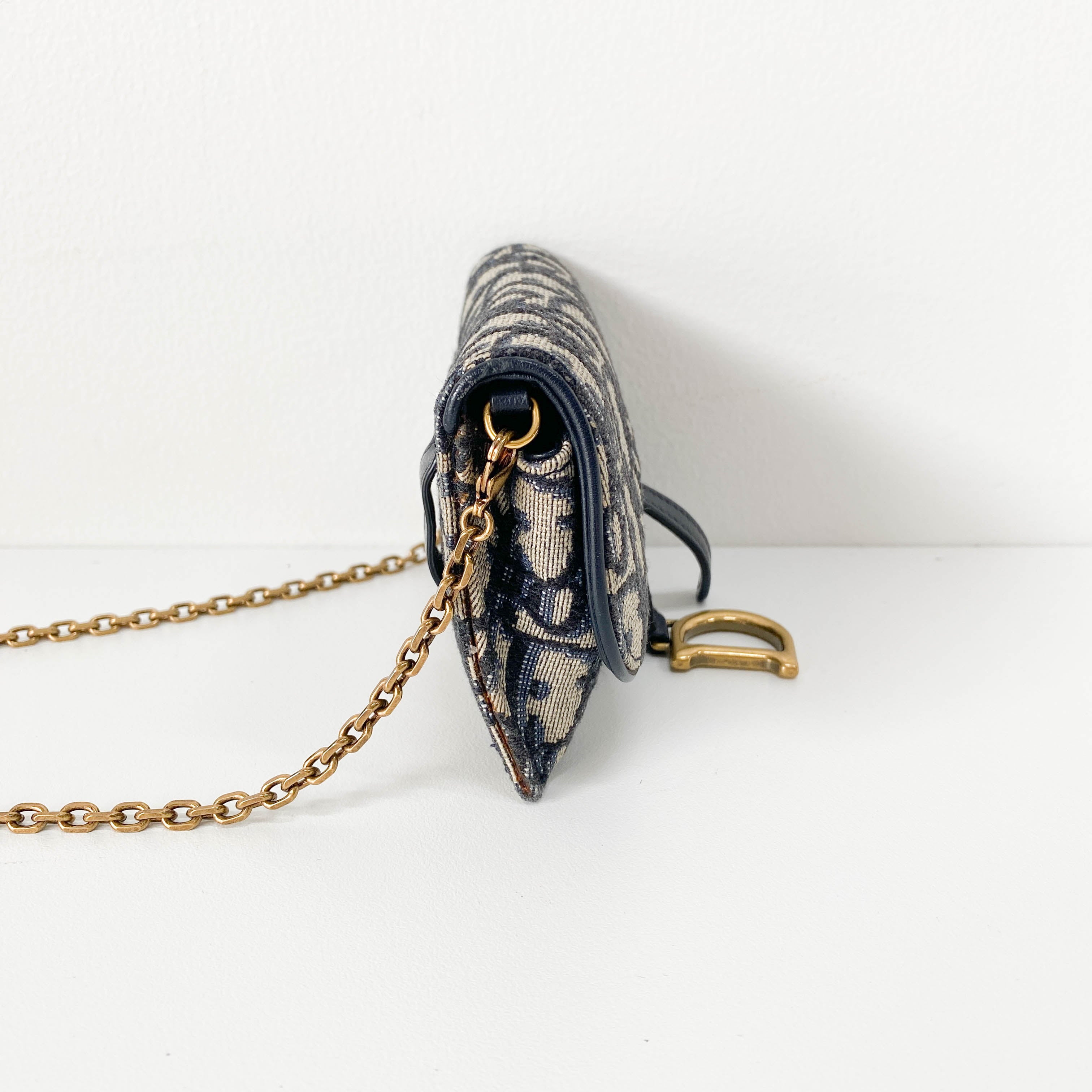 Trotter Canvas with Chain Strap Mini Shoulder Bag