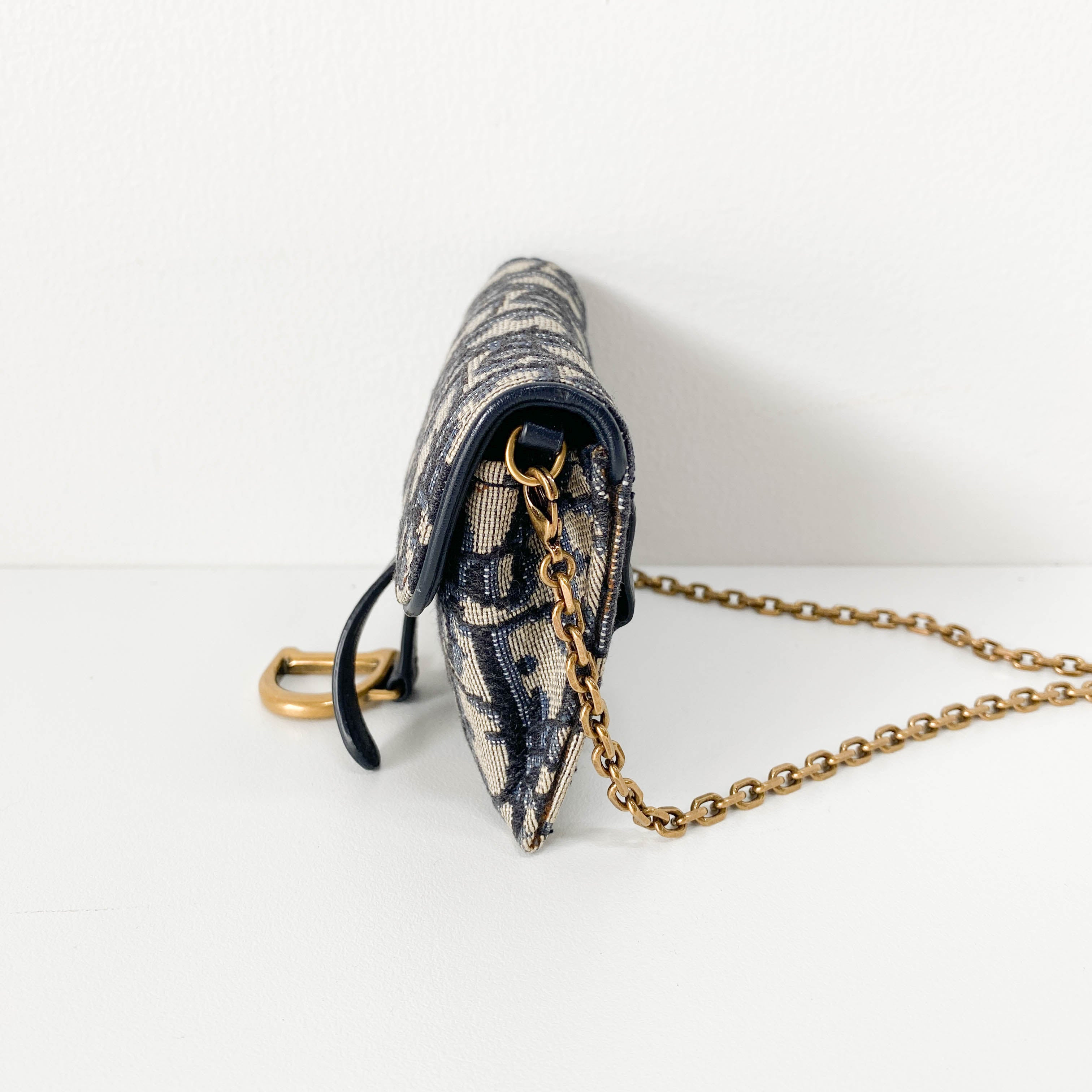 Trotter Canvas with Chain Strap Mini Shoulder Bag