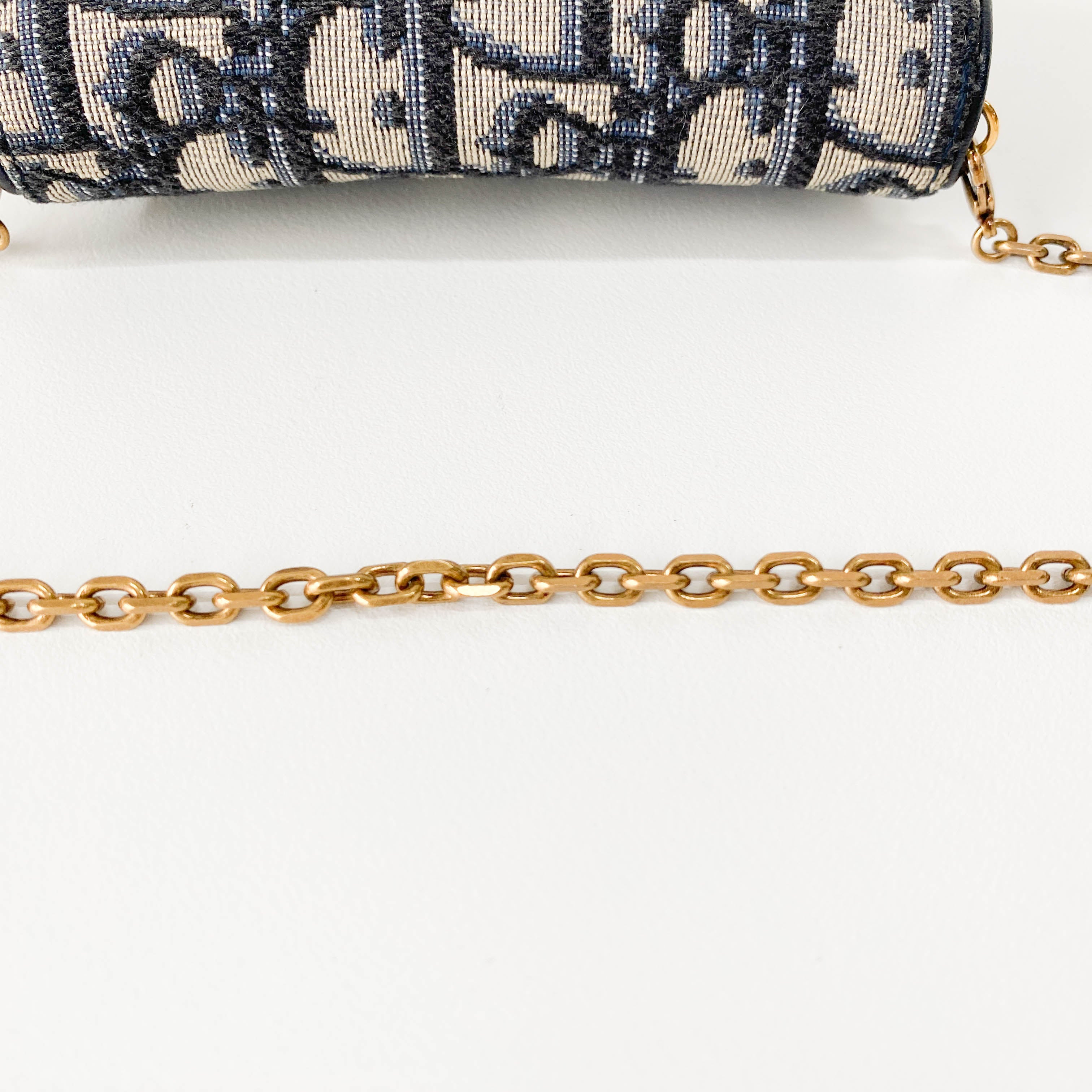 Trotter Canvas with Chain Strap Mini Shoulder Bag