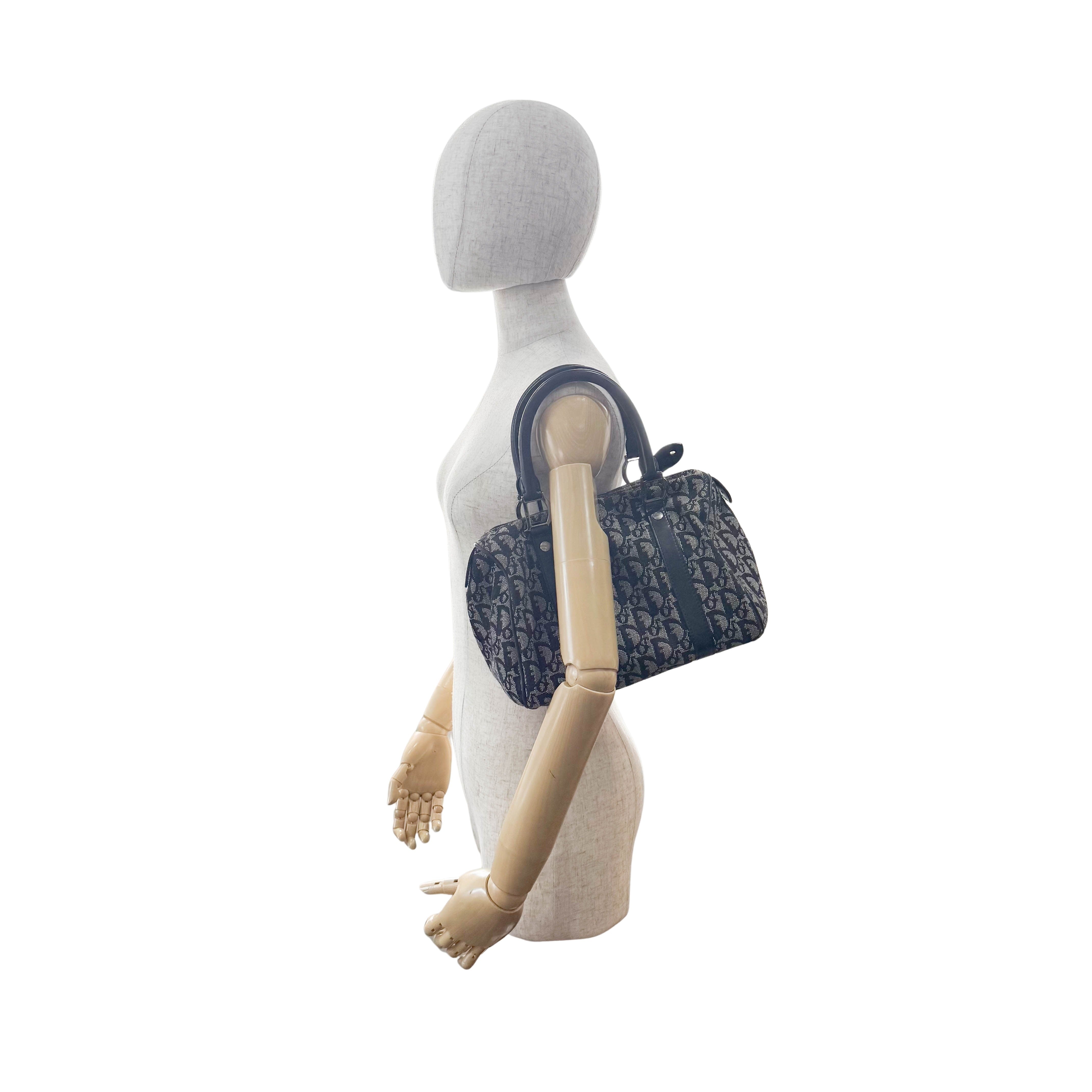 Boston Trotter Navy Oblique Canvas Bag