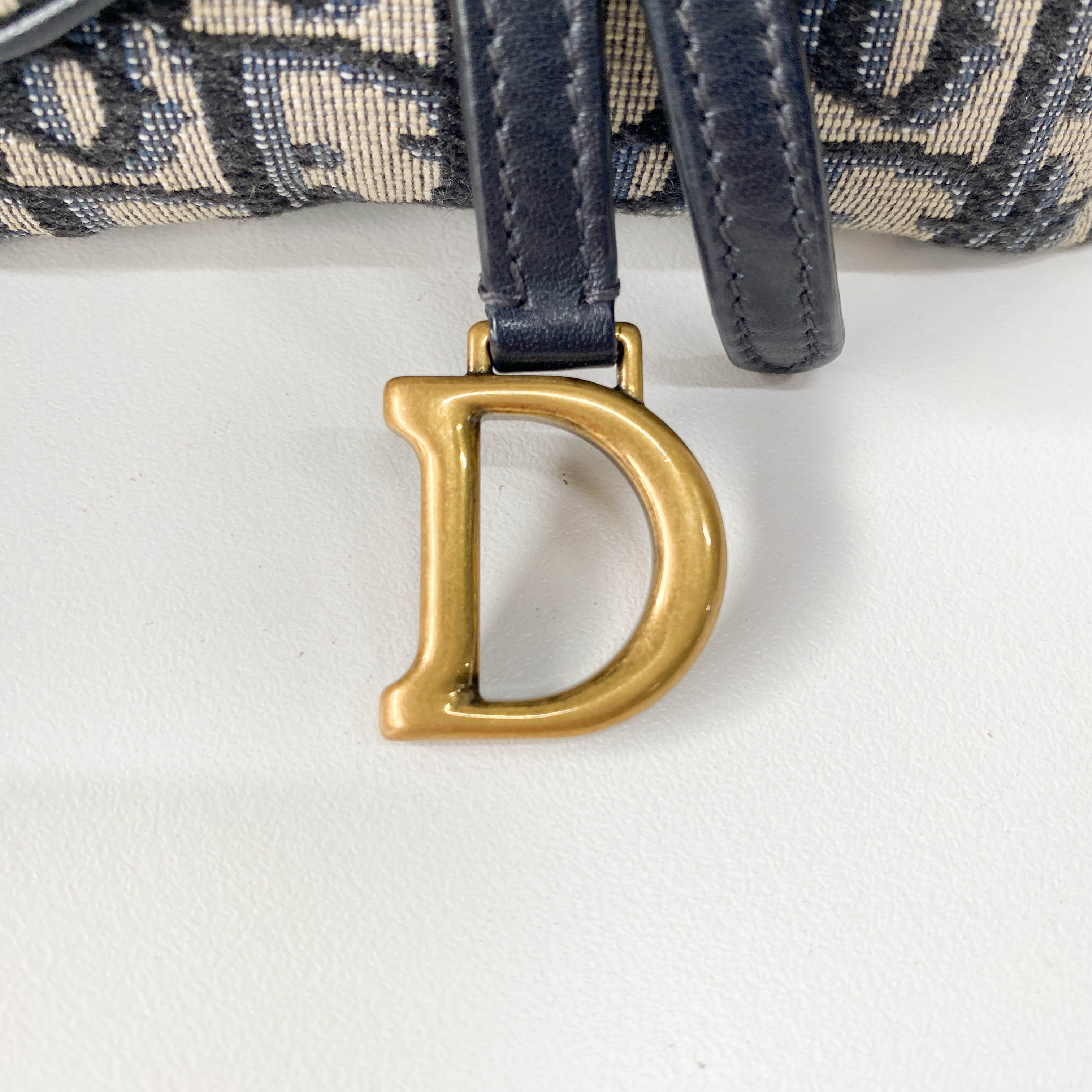 Trotter Canvas with Chain Strap Mini Shoulder Bag