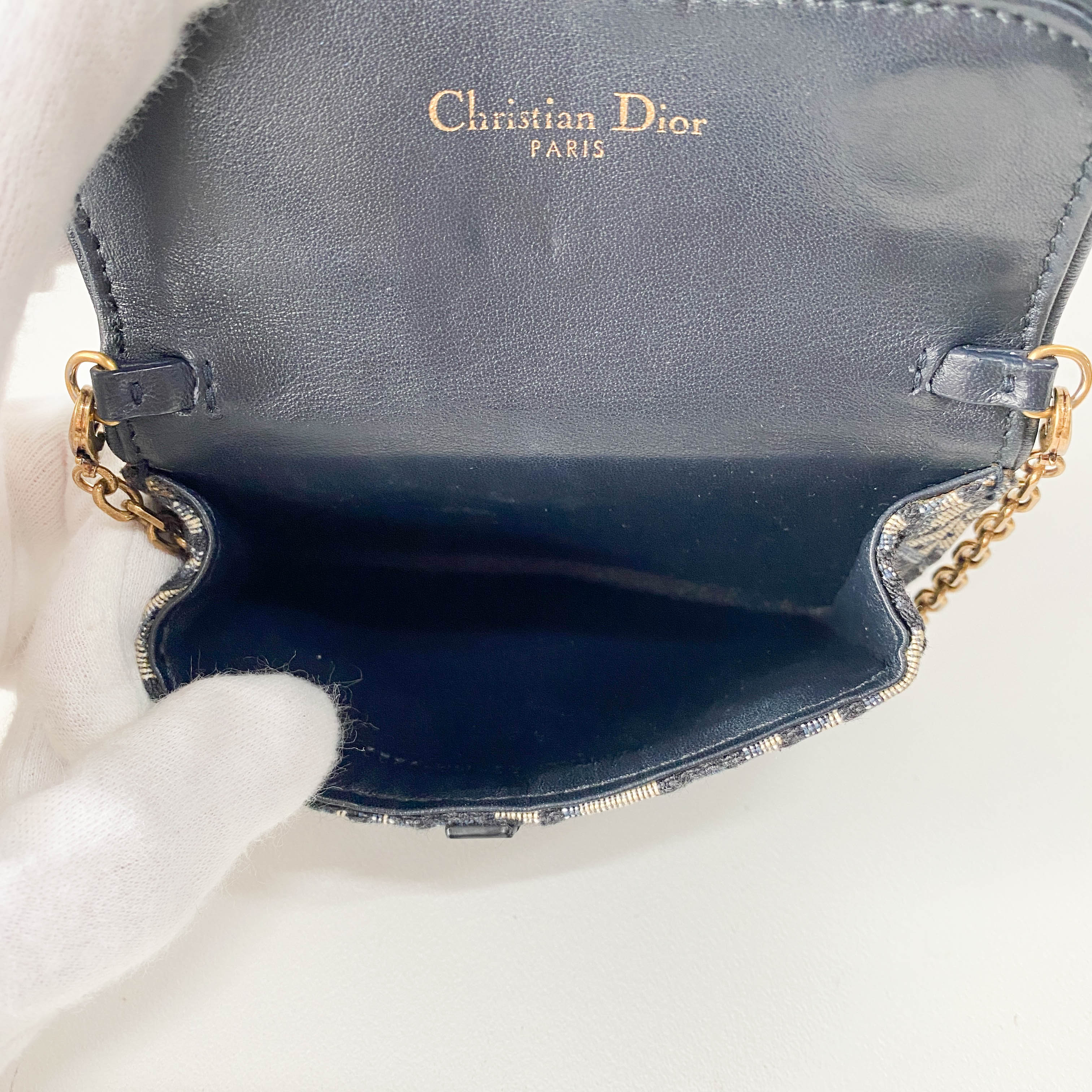 Trotter Canvas with Chain Strap Mini Shoulder Bag