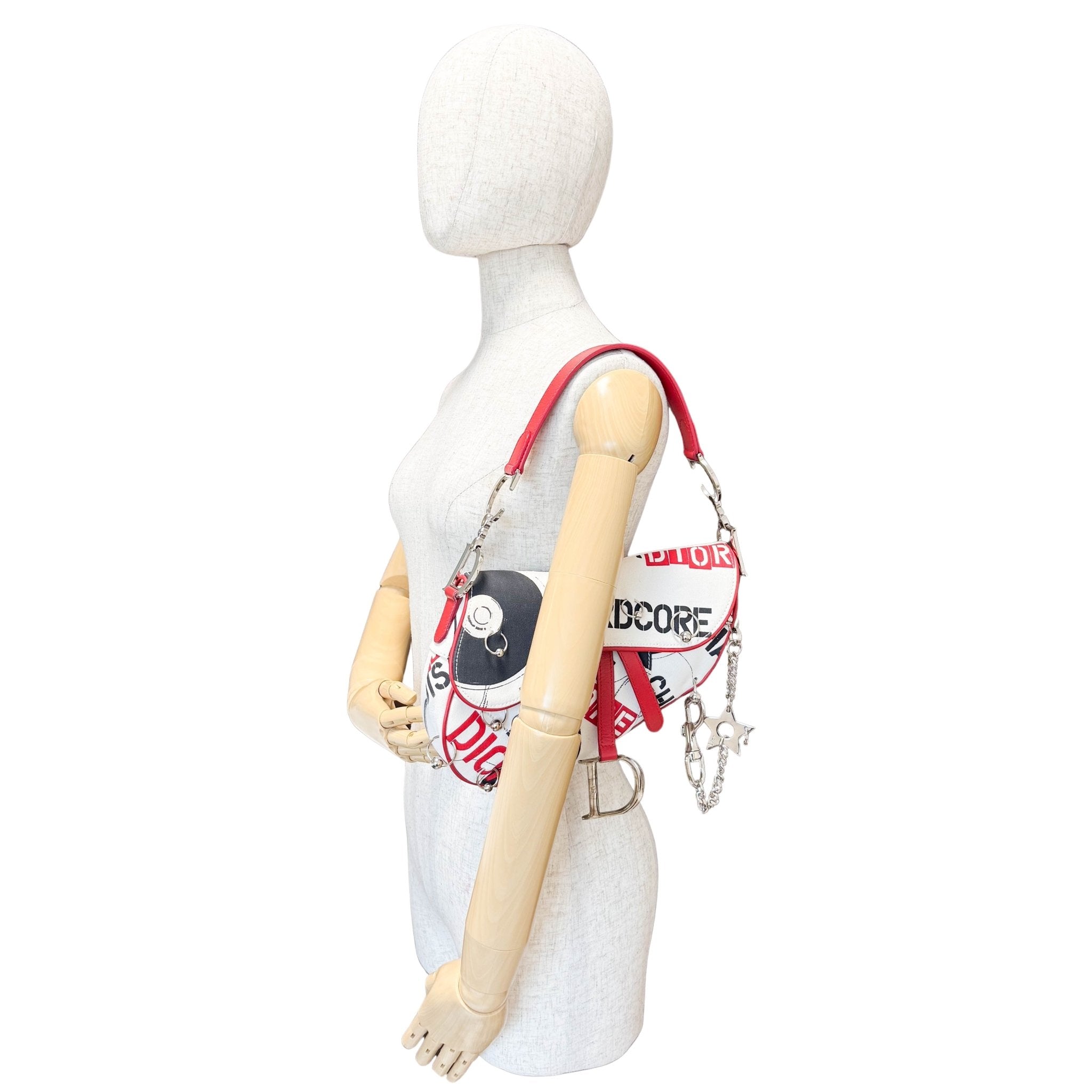 DIOR Limited Edition Hardcore Print Canvas Saddle Handle Bag, in , Sold by HIVE PRELOVED - Shoulder Bags, ,