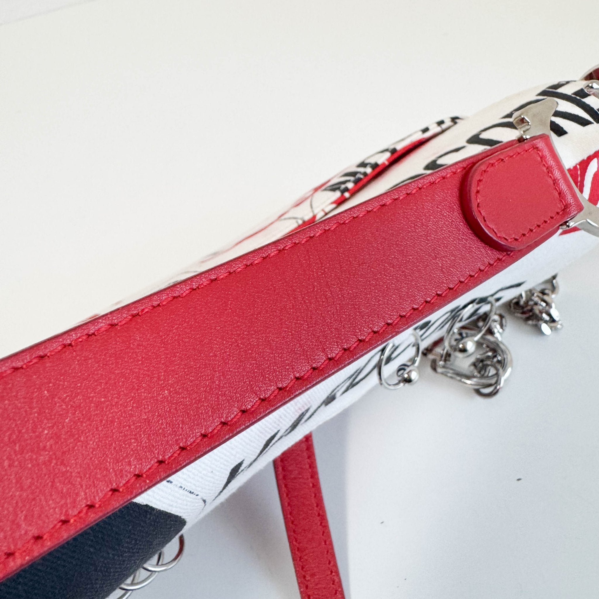 DIOR Limited Edition Hardcore Print Canvas Saddle Handle Bag, in , Sold by HIVE PRELOVED - Shoulder Bags, ,