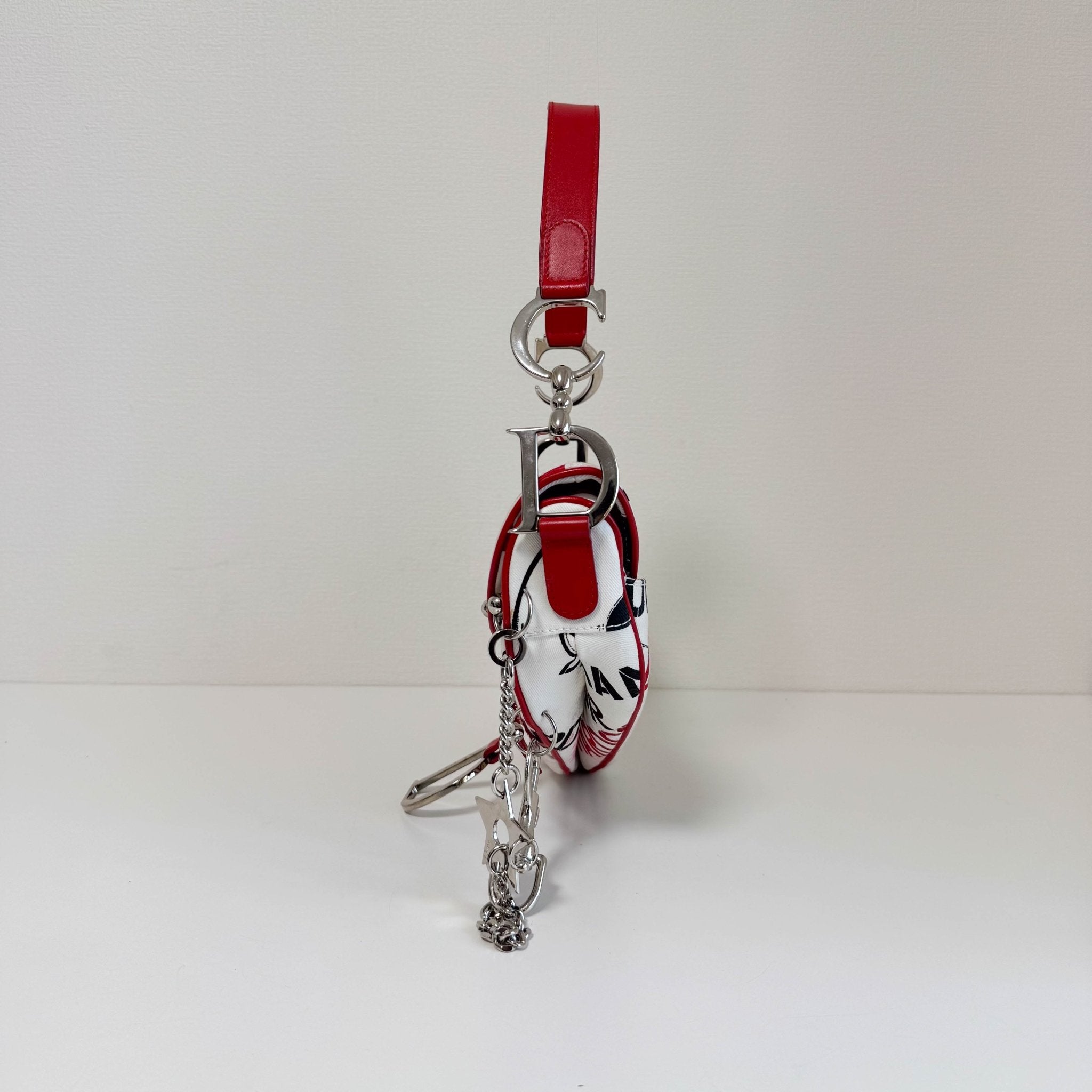 DIOR Limited Edition Hardcore Print Canvas Saddle Handle Bag, in , Sold by HIVE PRELOVED - Shoulder Bags, ,