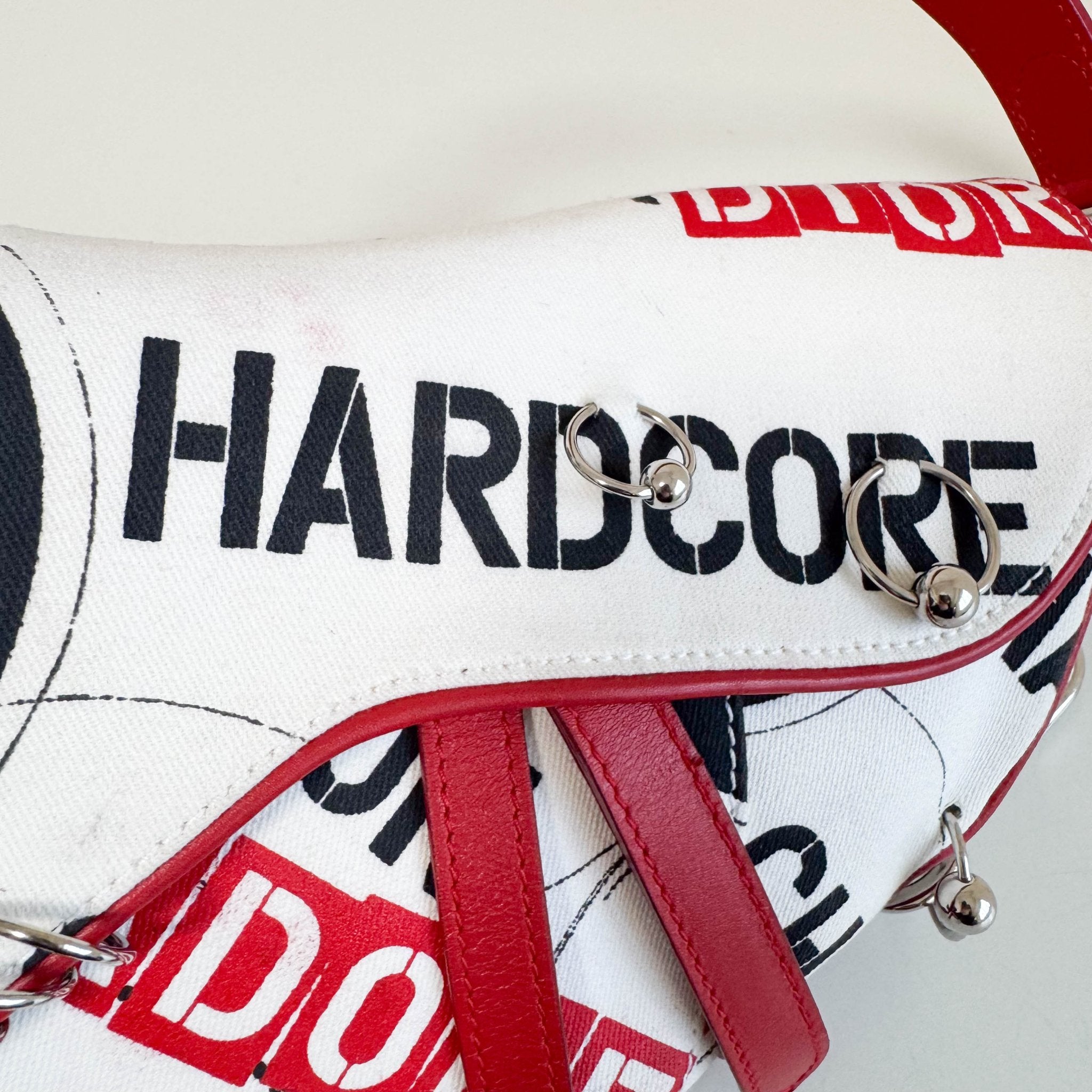 DIOR Limited Edition Hardcore Print Canvas Saddle Handle Bag, in , Sold by HIVE PRELOVED - Shoulder Bags, ,