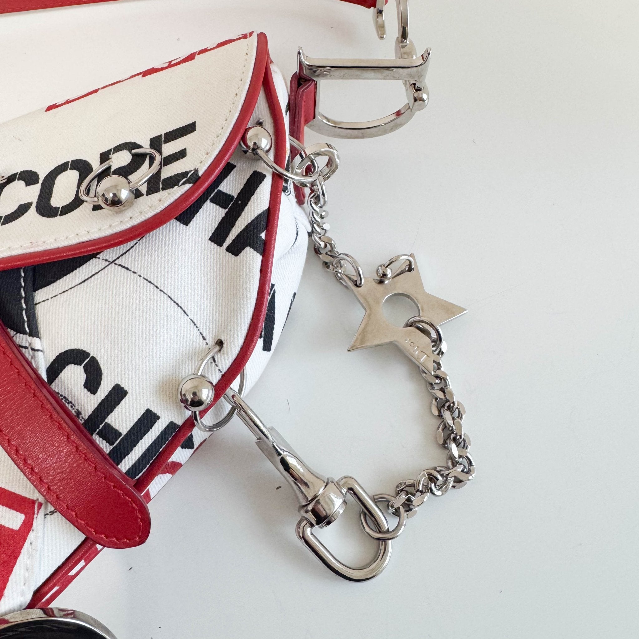 DIOR Limited Edition Hardcore Print Canvas Saddle Handle Bag, in , Sold by HIVE PRELOVED - Shoulder Bags, ,