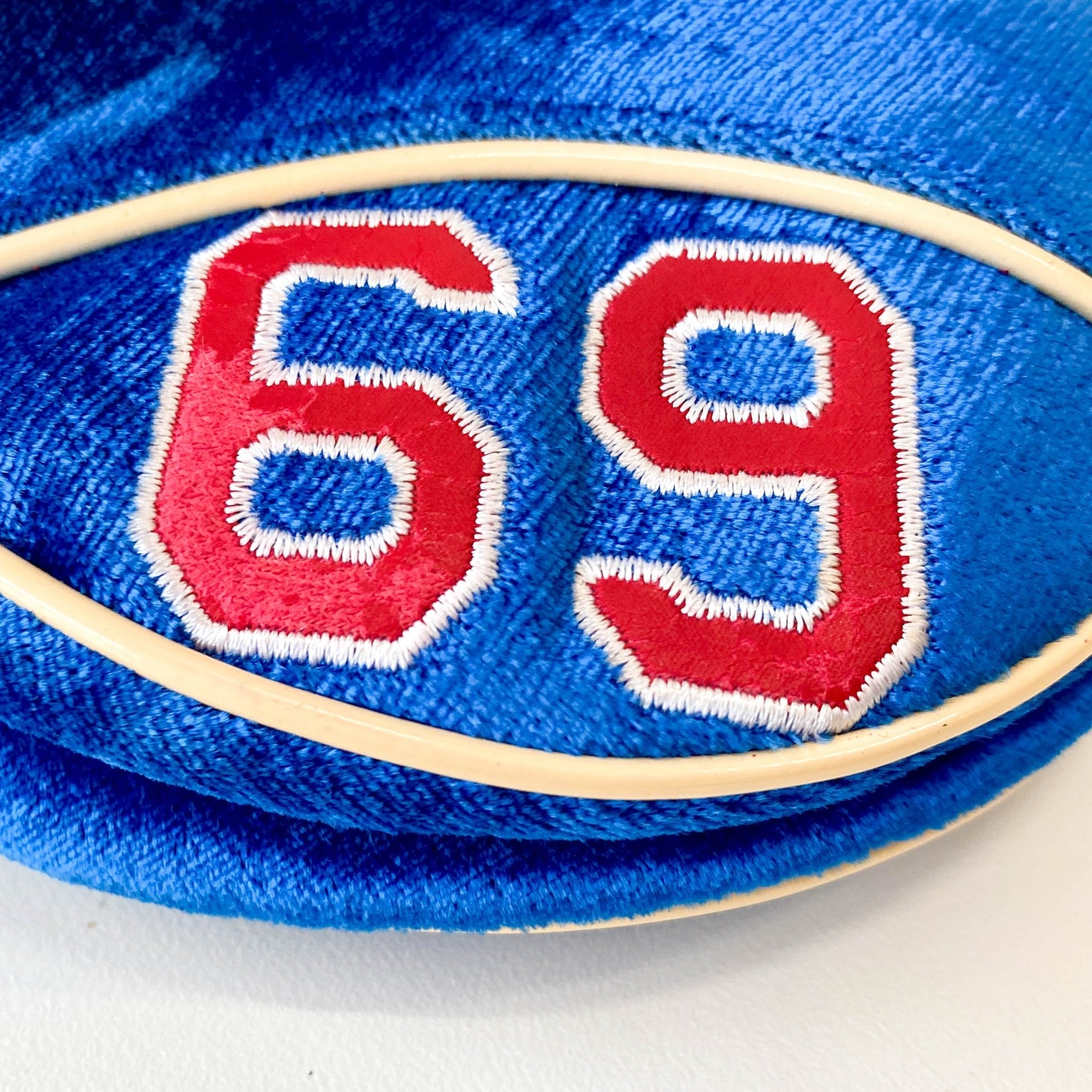 DIOR Limited Edition Saddle 