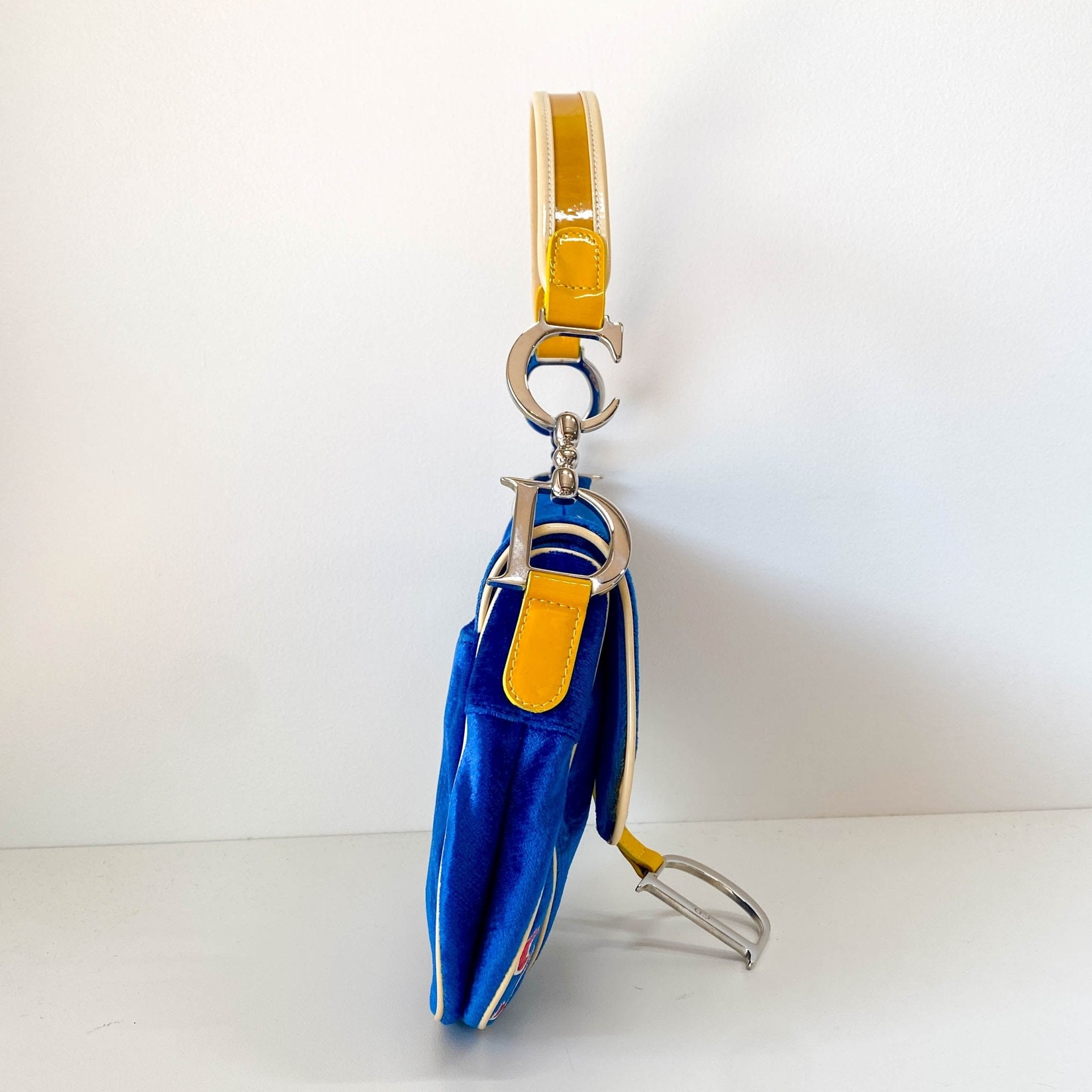 DIOR Limited Edition Saddle 