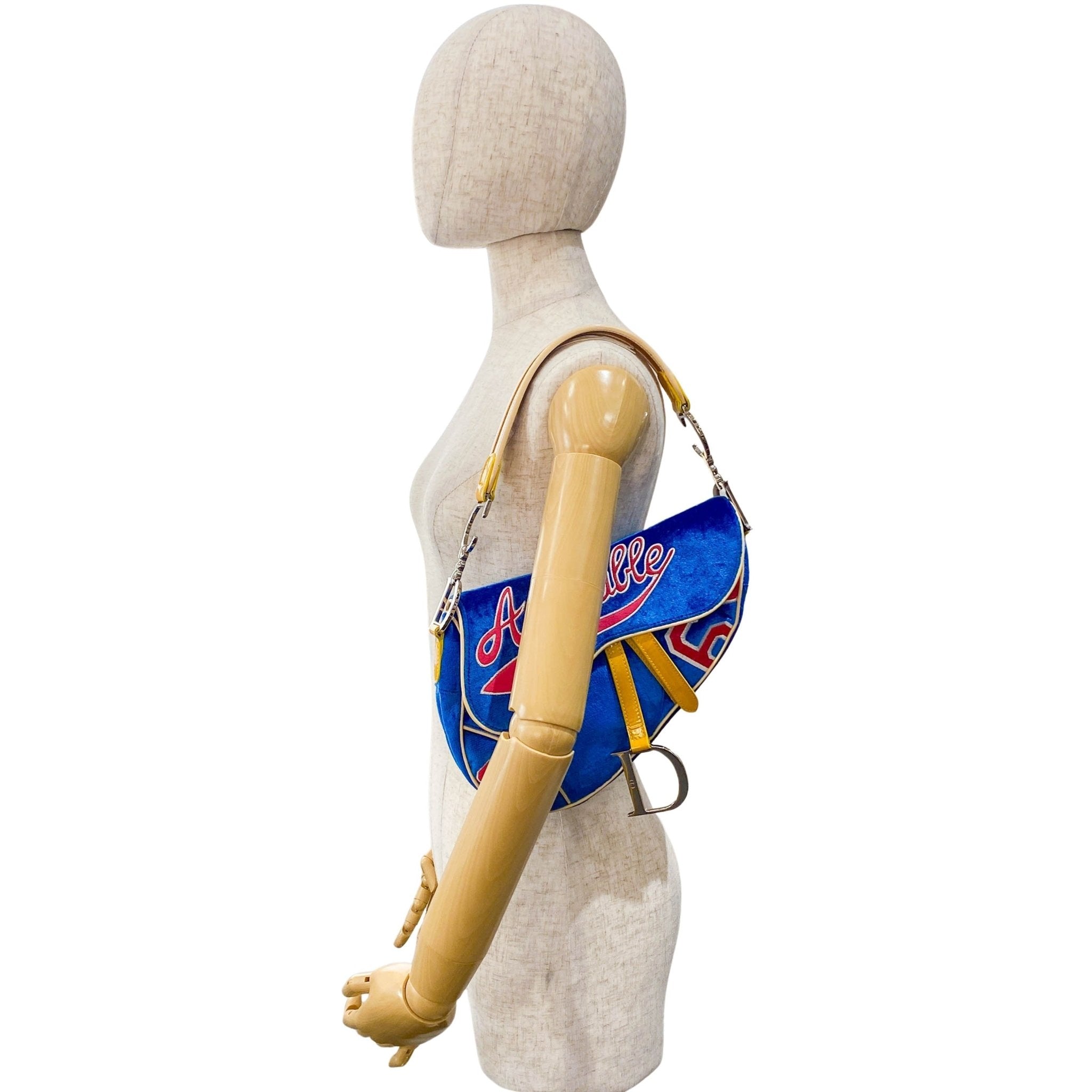 DIOR Limited Edition Saddle 