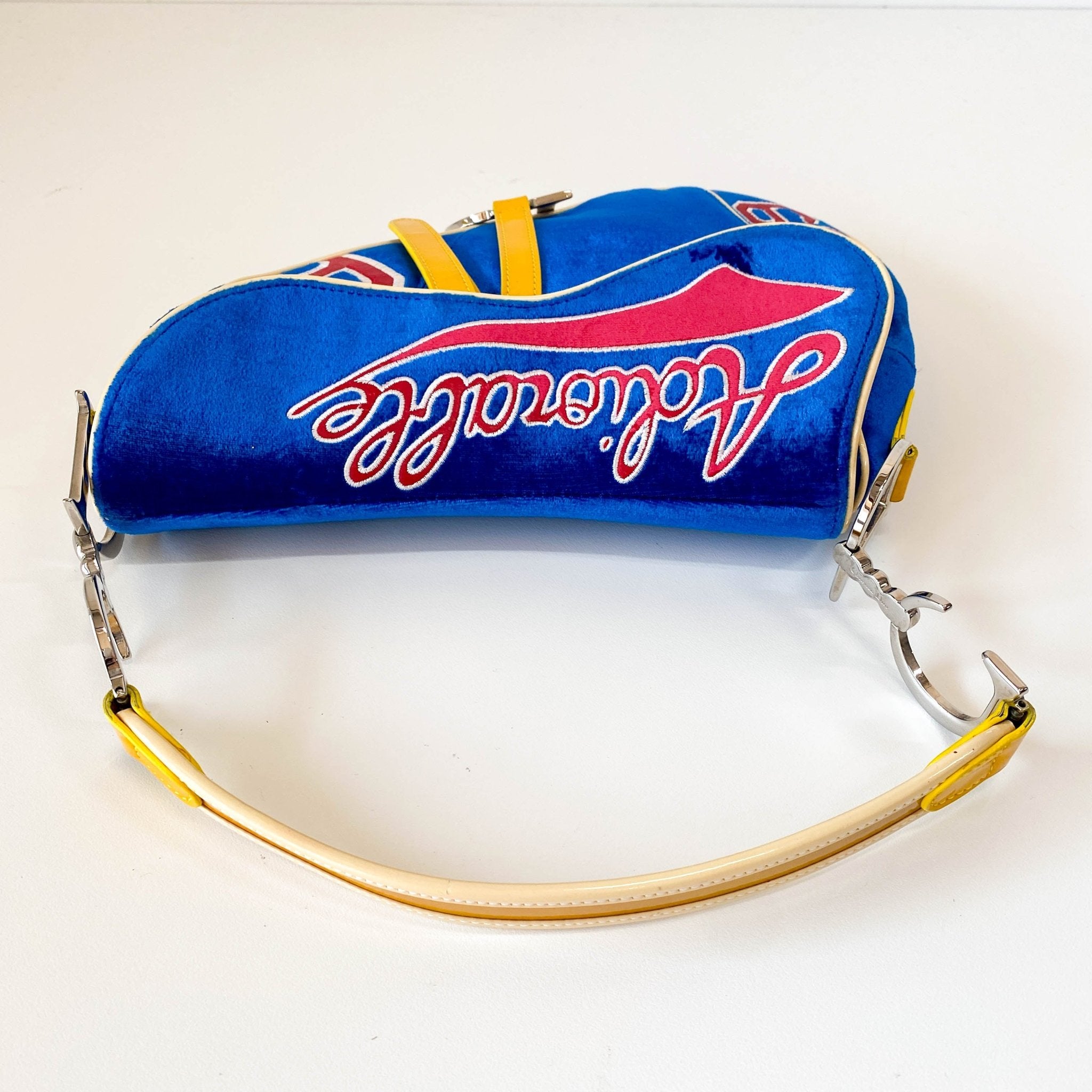 DIOR Limited Edition Saddle 