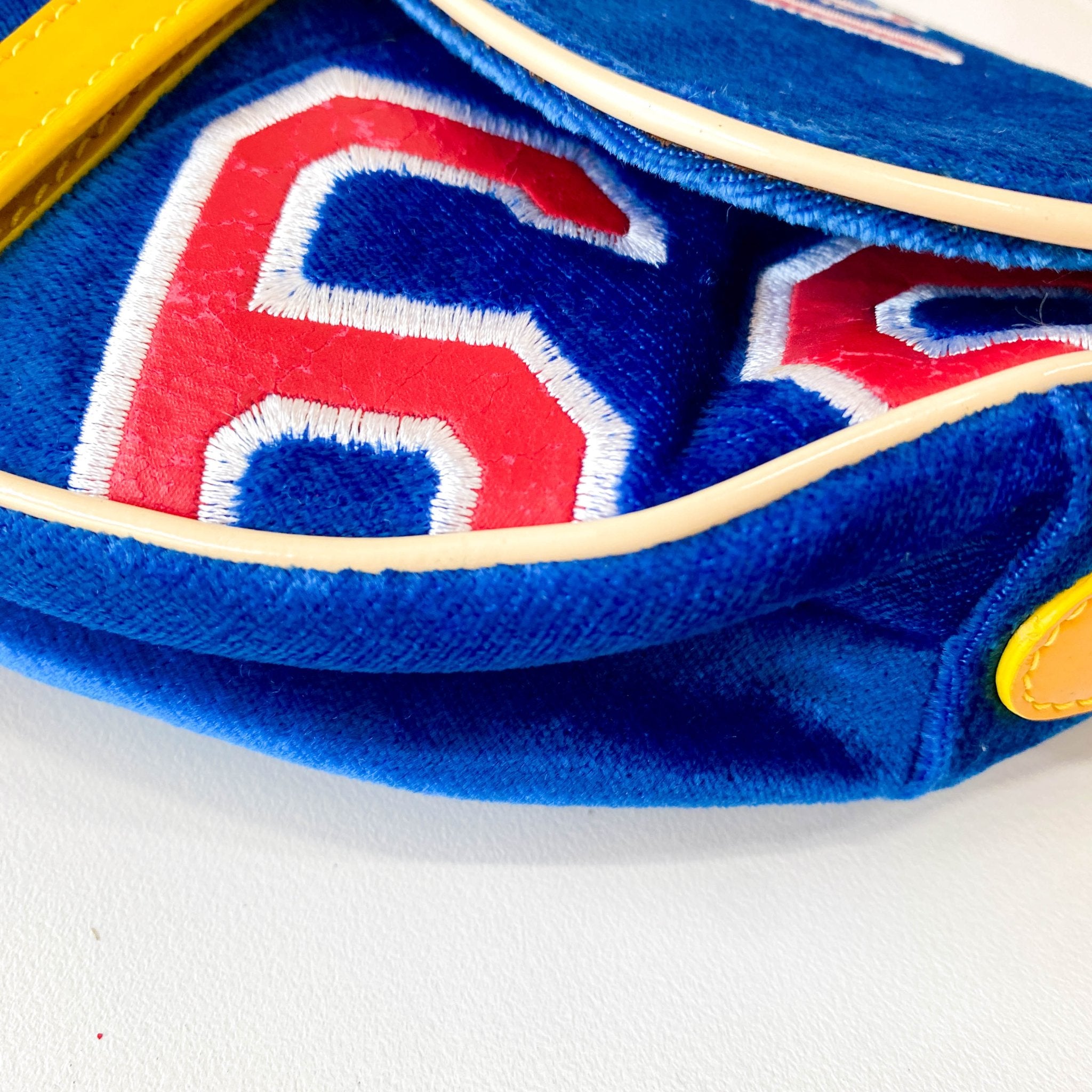 DIOR Limited Edition Saddle 