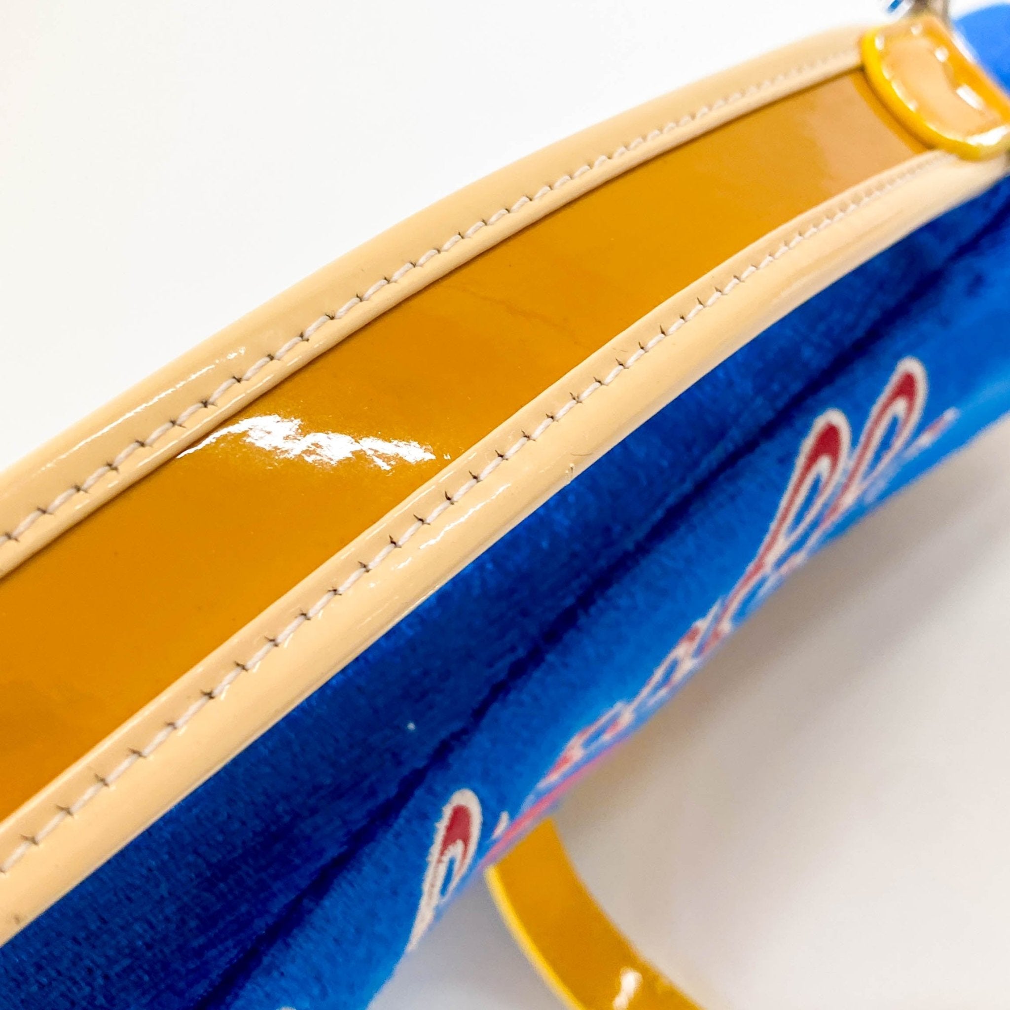 DIOR Limited Edition Saddle 