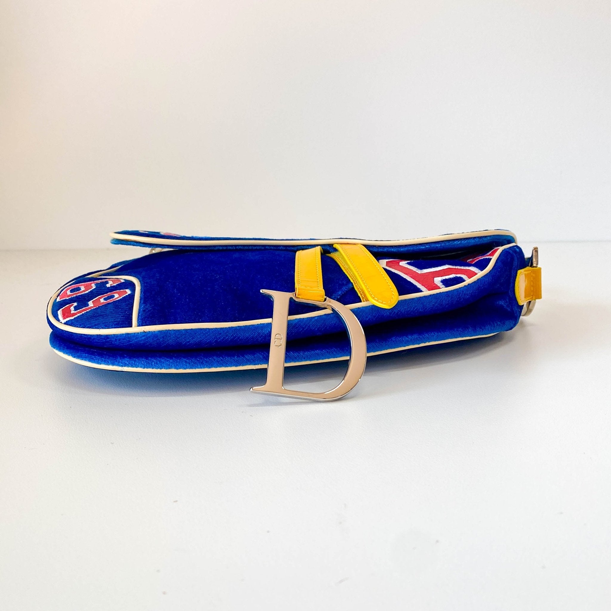 DIOR Limited Edition Saddle 