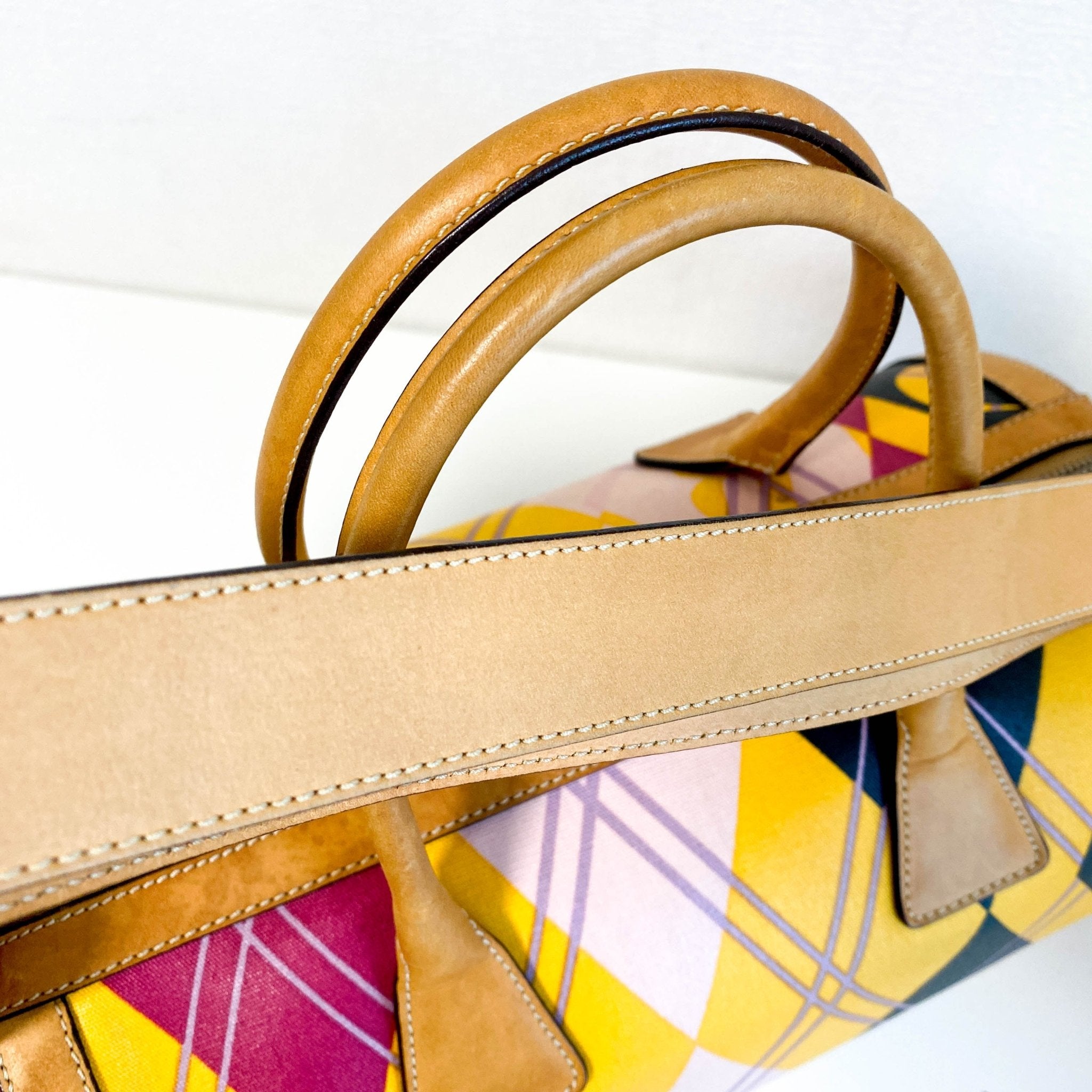 DIOR Multicolor Printed Coated Canvas and Leather Argyle Bag, in , Sold by HIVE PRELOVED - Handle Bags, ,