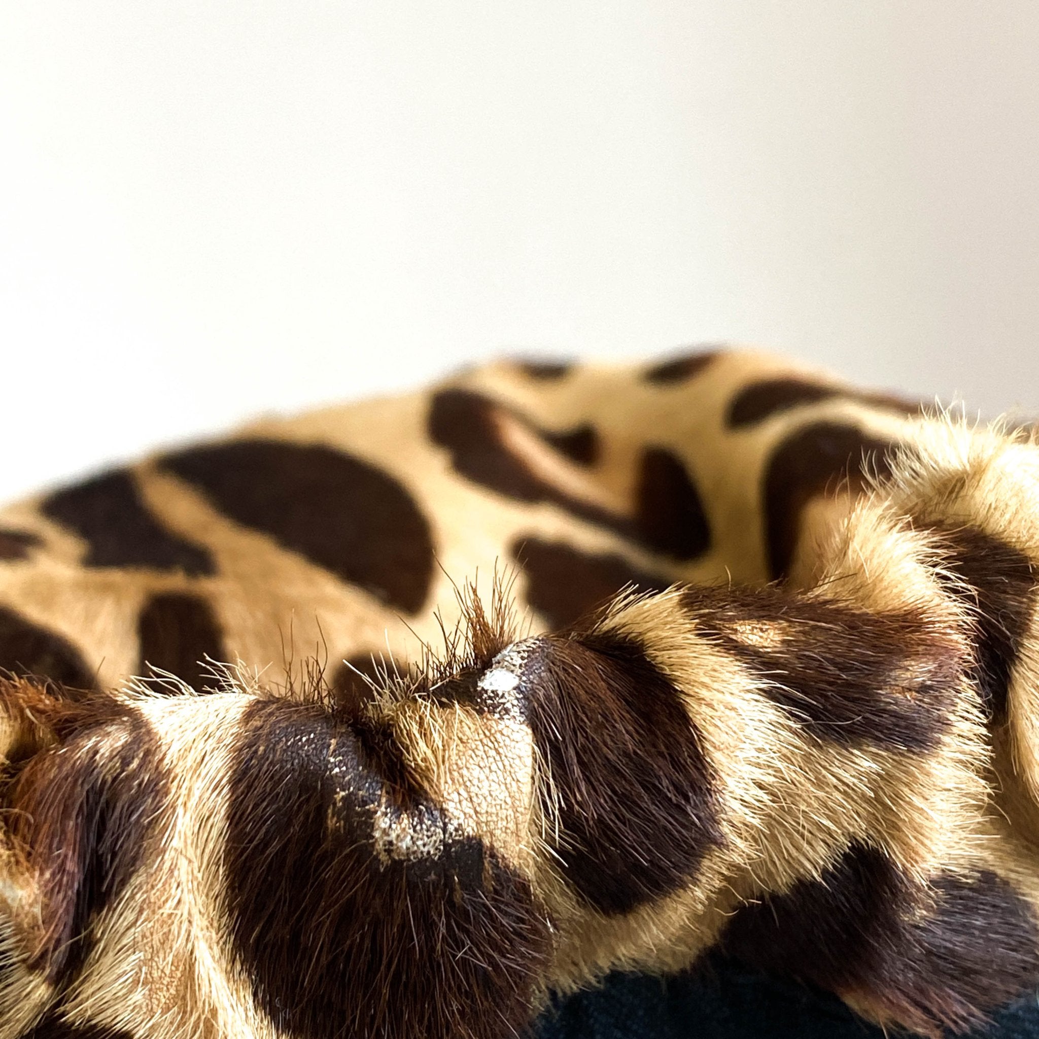 FENDI Ring Handle Pony Hair Leopard Tote Handbag, in , Sold by HIVE PRELOVED - Handle Bags, Totes,