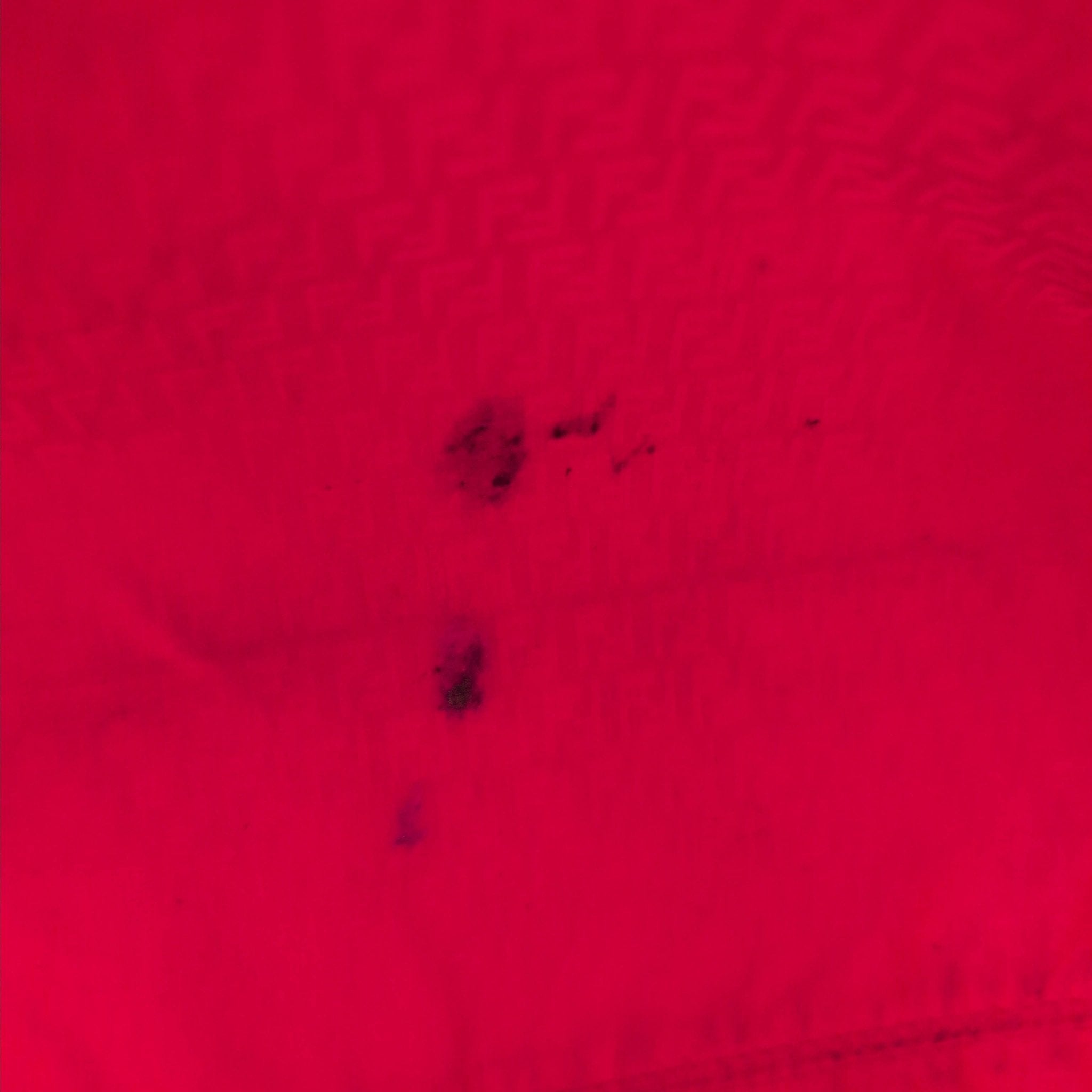 FENDI Zucca Spalmati Patent Baguette Print Medium Roll Tote, in , Sold by HIVE PRELOVED - Totes, ,