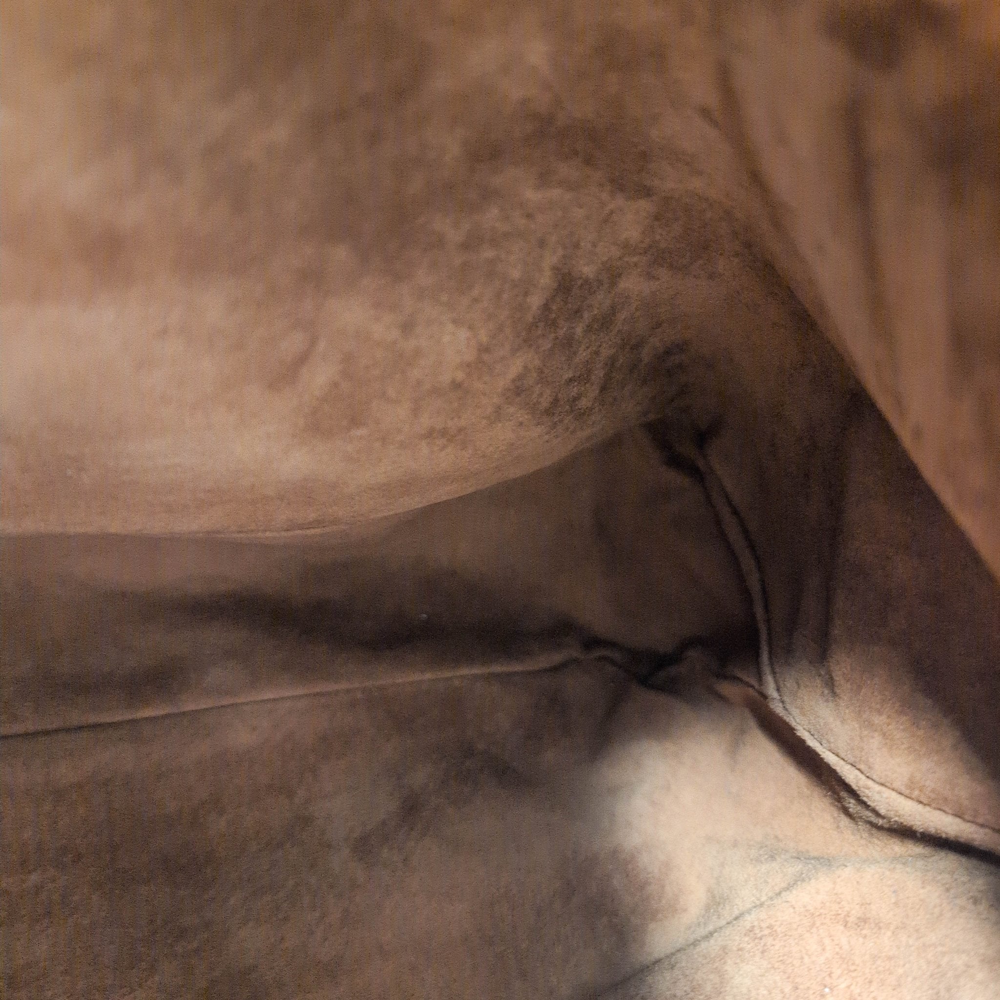 GUCCI Horsebit Brown Leather Hobo Shoulder Bag, in , Sold by HIVE PRELOVED - Shoulder Bags, ,