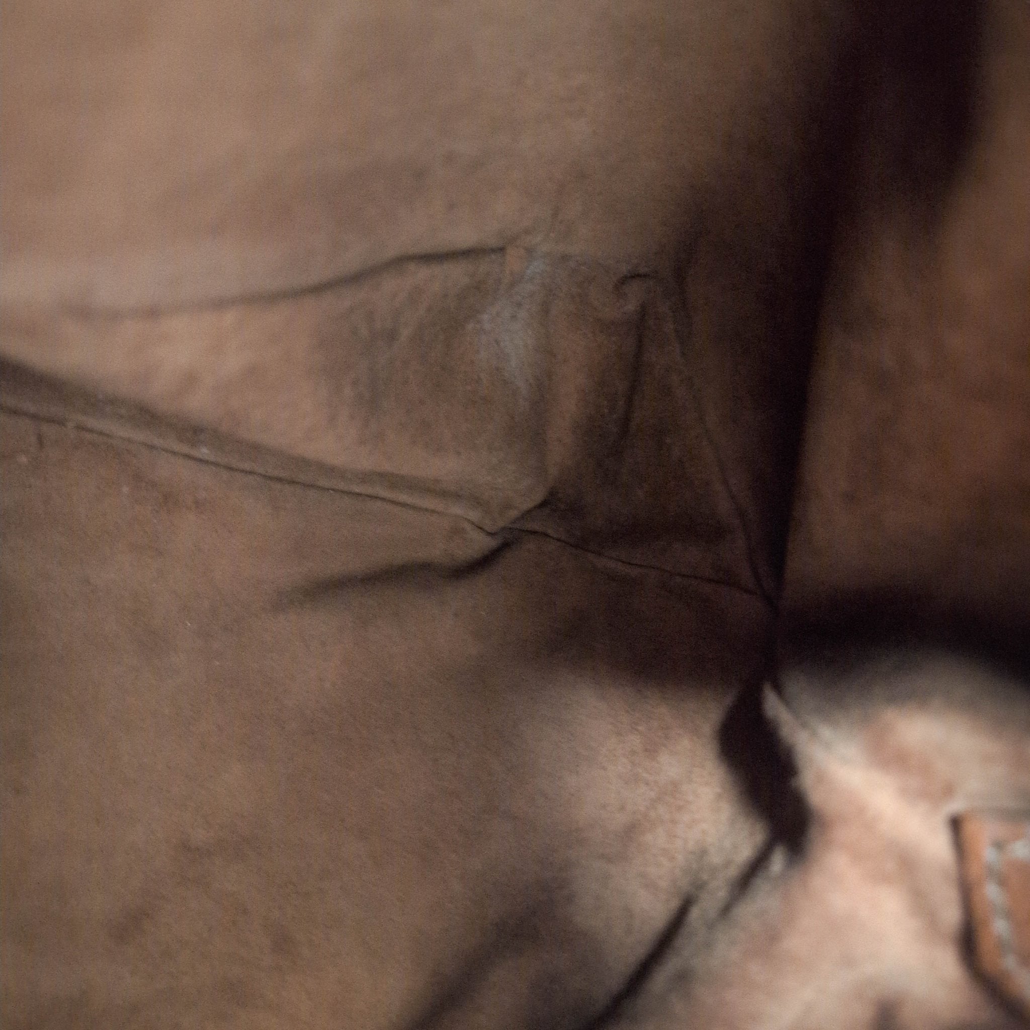 GUCCI Horsebit Brown Leather Hobo Shoulder Bag, in , Sold by HIVE PRELOVED - Shoulder Bags, ,