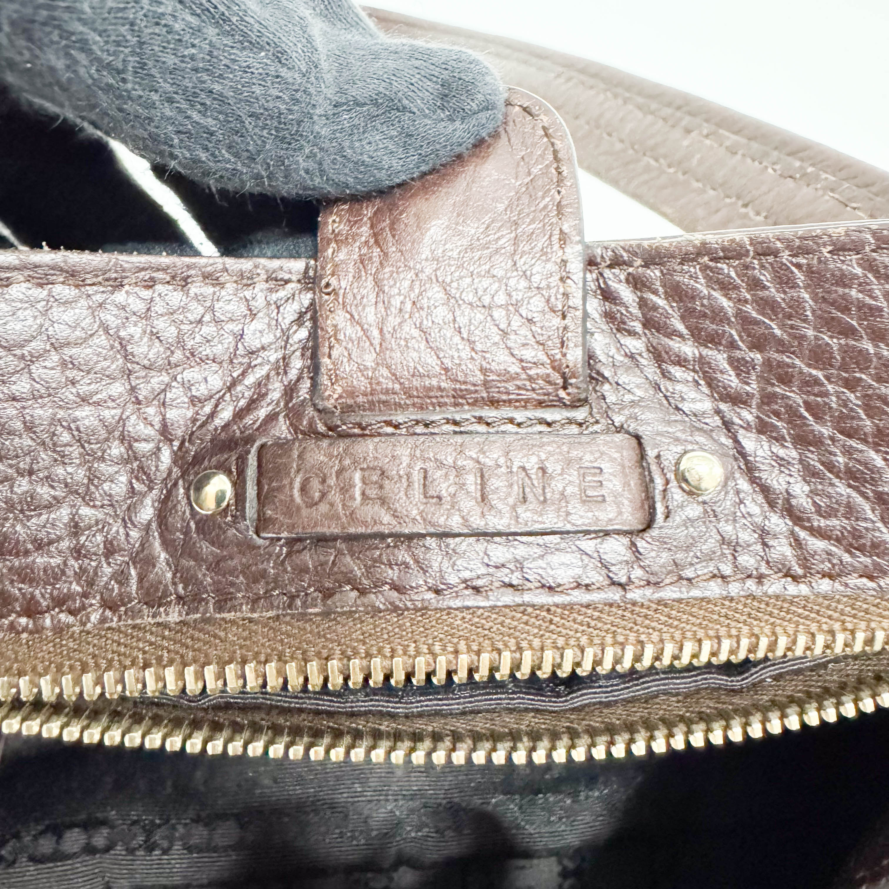 Triomphe Brown Leather Shoulder Bag