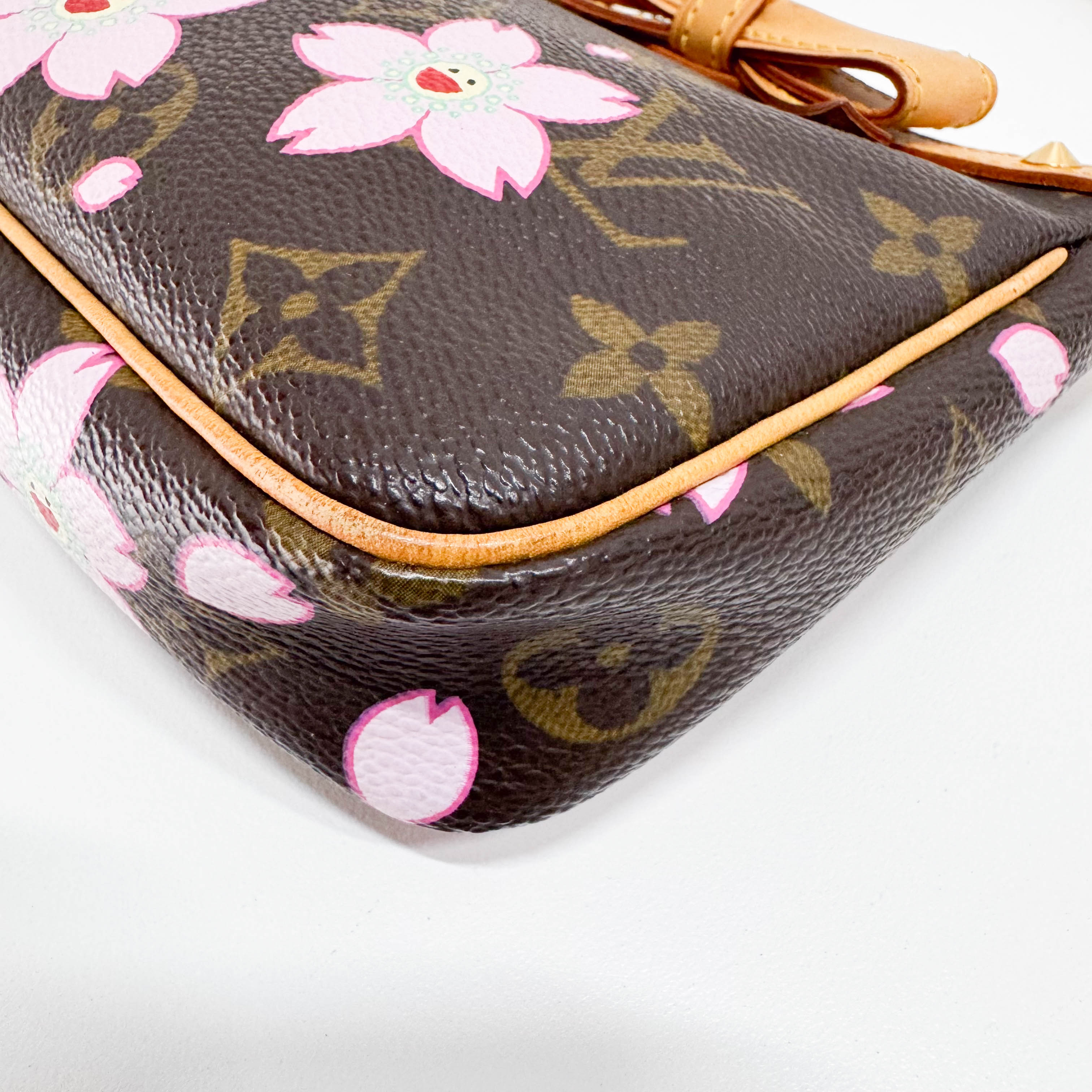 Monogram x Takashi Murakami Brown Coated Canvas Pochette Accessory