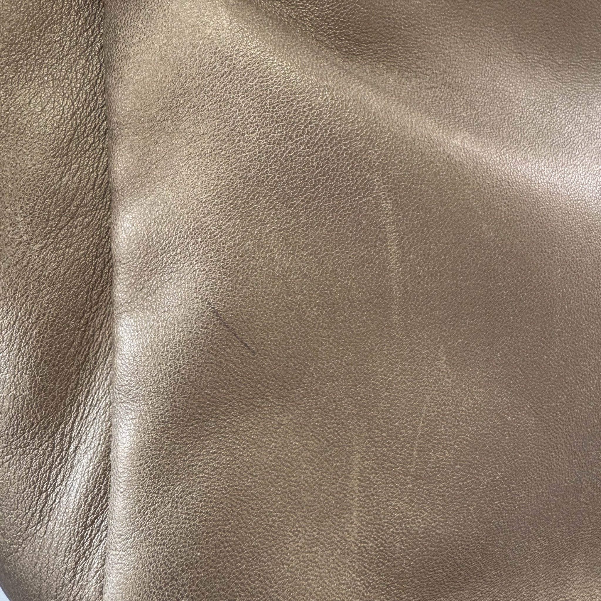 LOEWE Gold Nappa Leather Hobo Shoulder Bag, in , Sold by HIVE PRELOVED - Shoulder Bags, ,