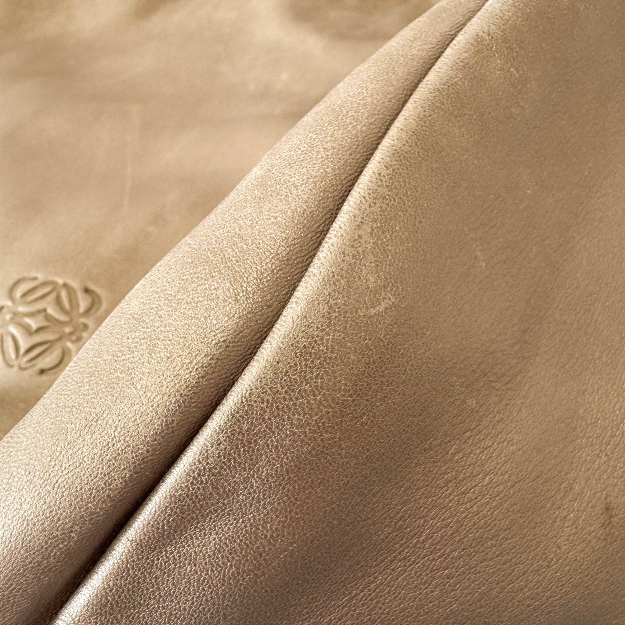 LOEWE Gold Nappa Leather Hobo Shoulder Bag, in , Sold by HIVE PRELOVED - Shoulder Bags, ,