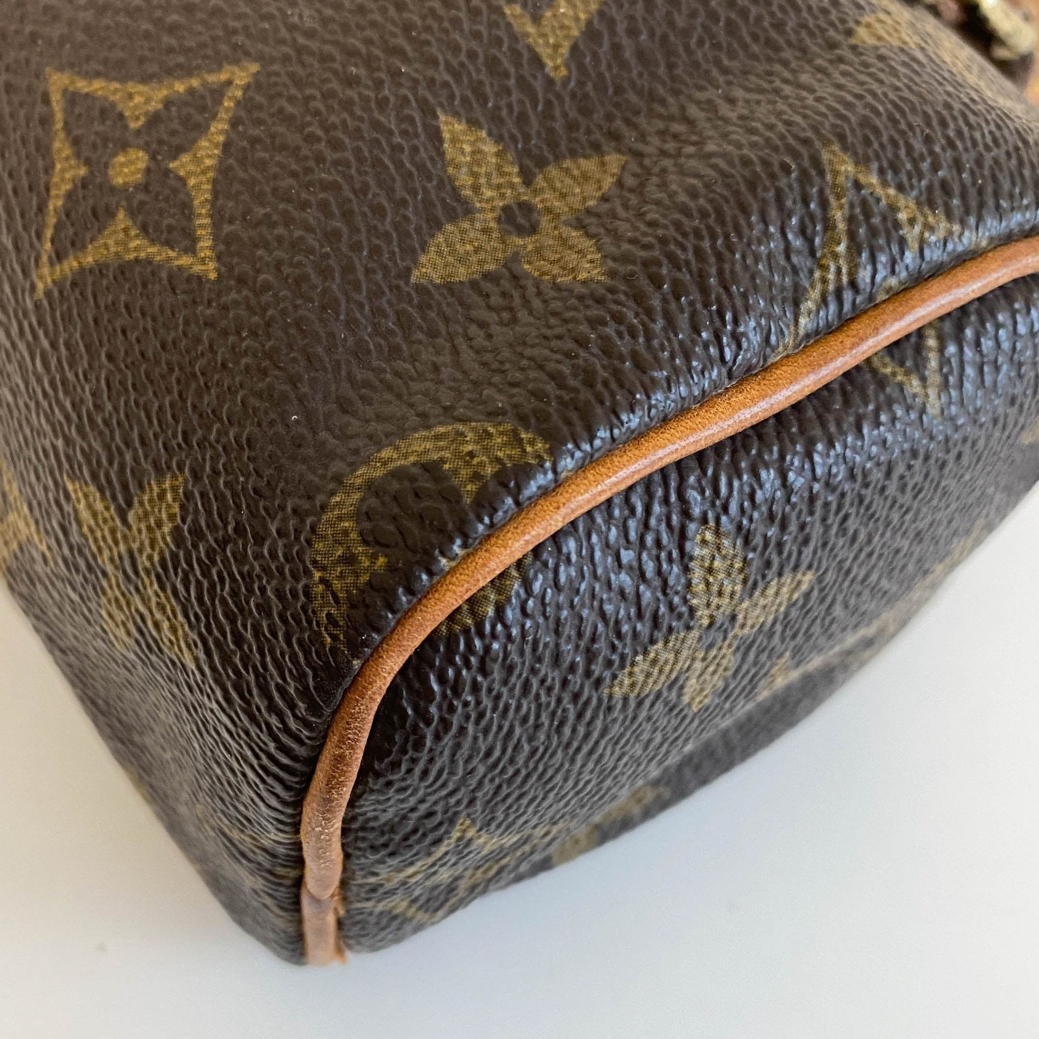 LOUIS VUITTON Nano Speedy / Mini HL Monogram Handbag, in , Sold by HIVE PRELOVED - Handle Bags, ,