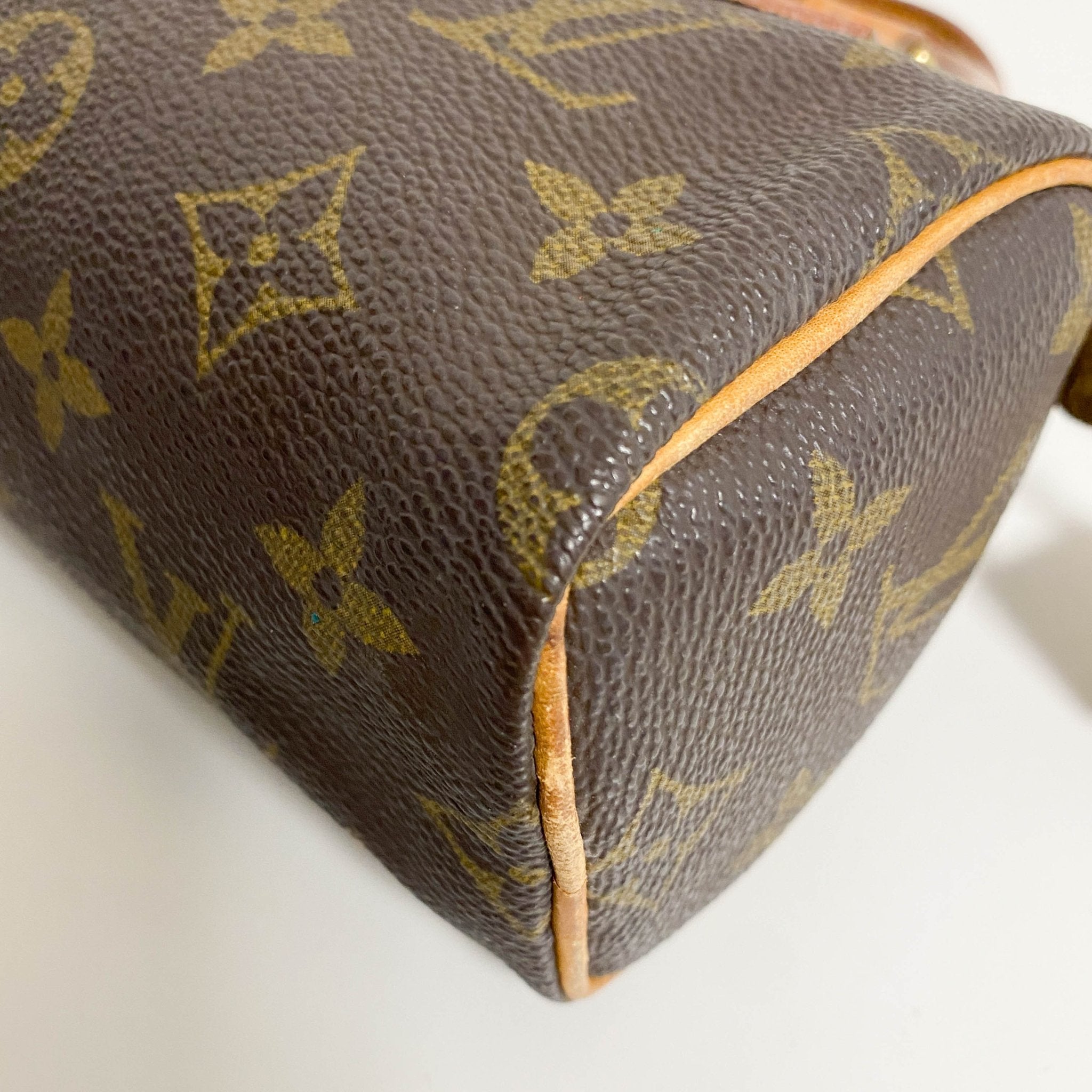 LOUIS VUITTON Nano Speedy / Mini HL Monogram Handbag, in , Sold by HIVE PRELOVED - Mini bags, Shoulder Bags,