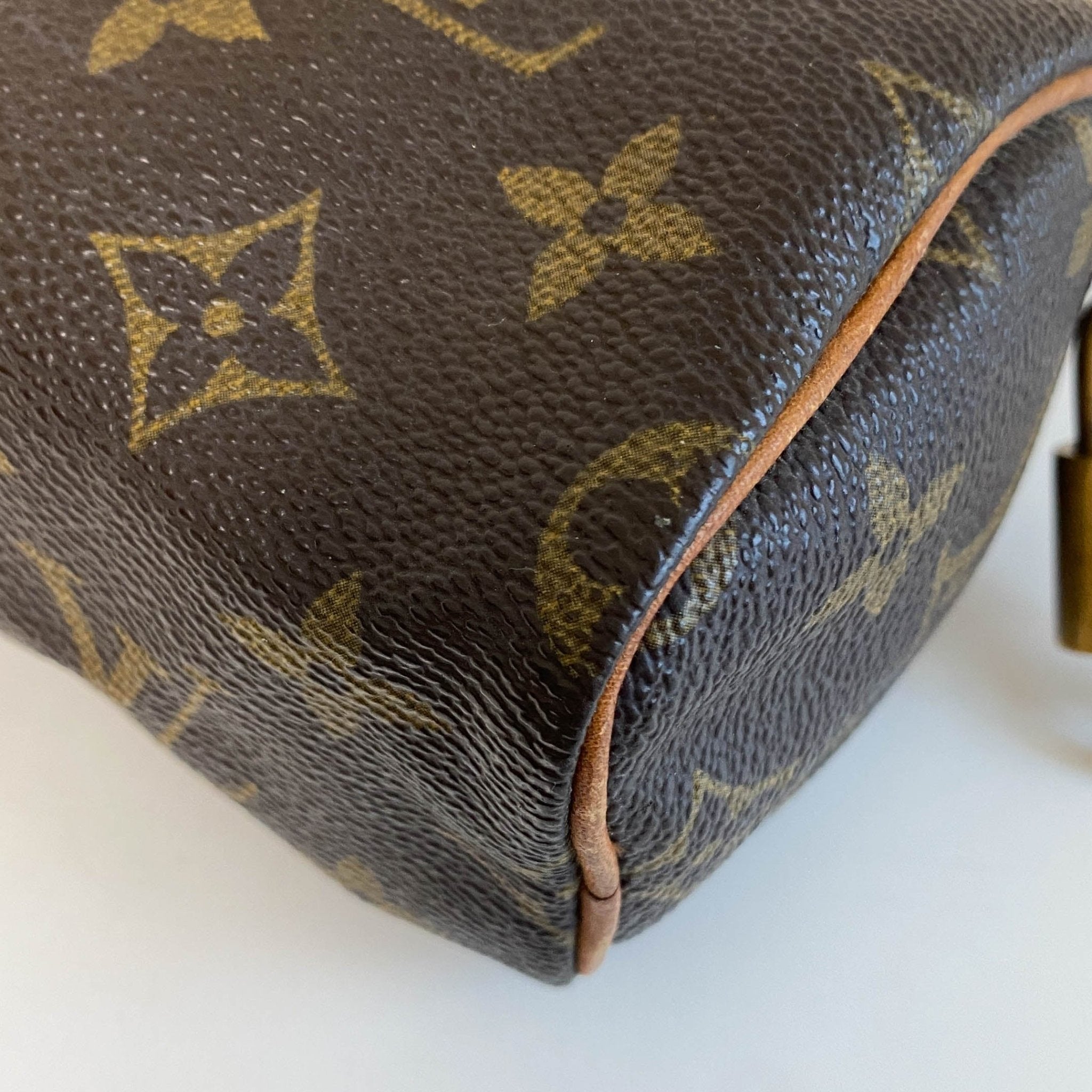 LOUIS VUITTON Nano Speedy / Mini HL Monogram Handbag, in , Sold by HIVE PRELOVED - Handle Bags, ,