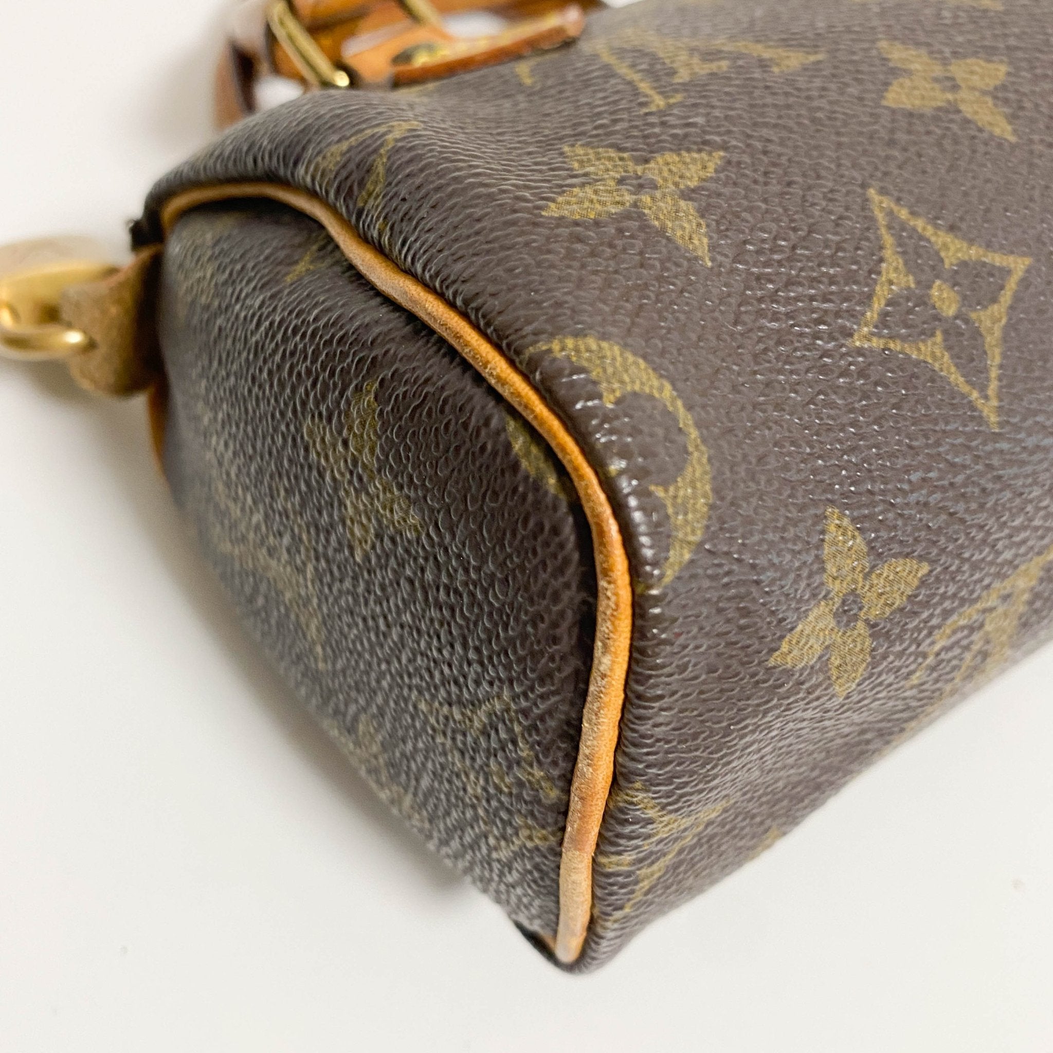 LOUIS VUITTON Nano Speedy / Mini HL Monogram Handbag, in , Sold by HIVE PRELOVED - Mini bags, Shoulder Bags,