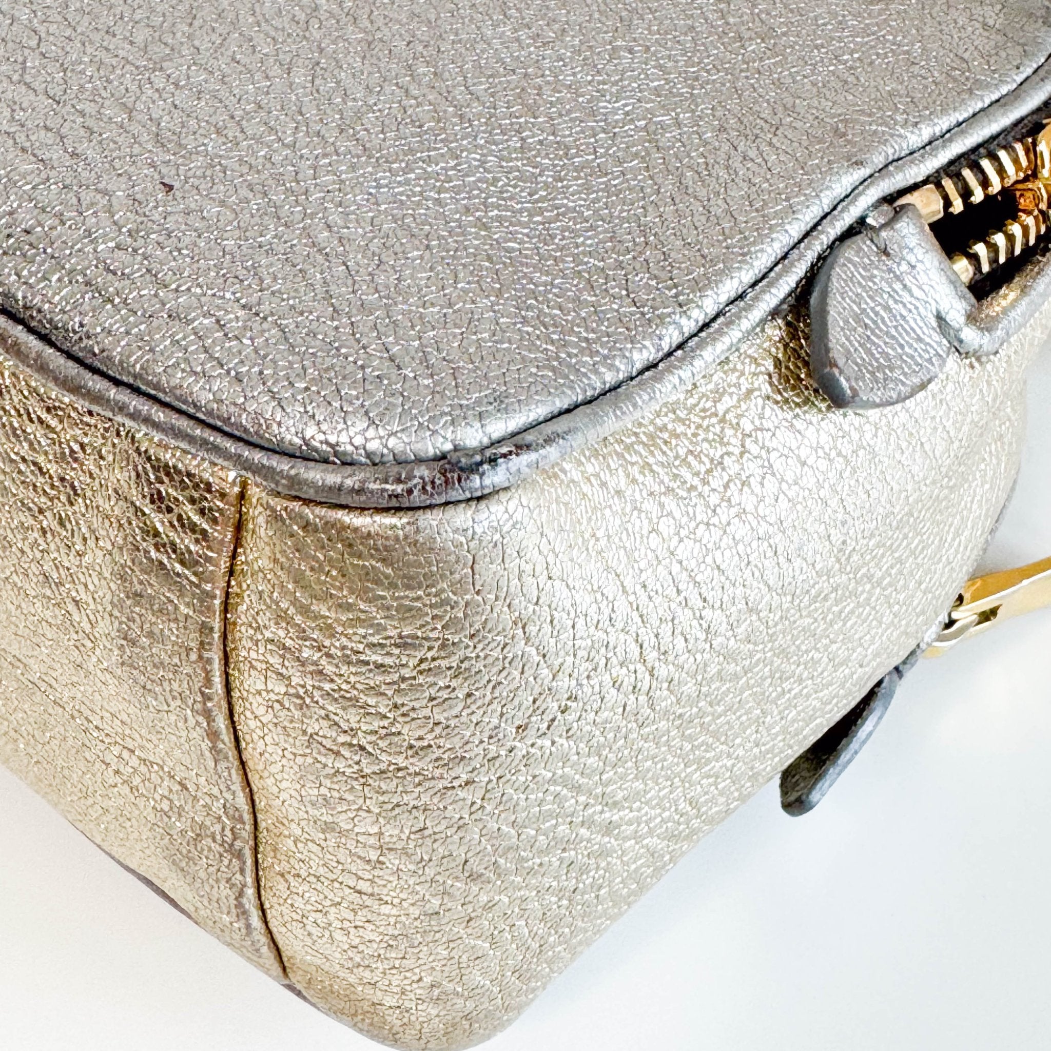 MIU MIU Gold and Silver Leather Camera Crossbody Bag, in , Sold by HIVE PRELOVED - Crossbody bags, ,